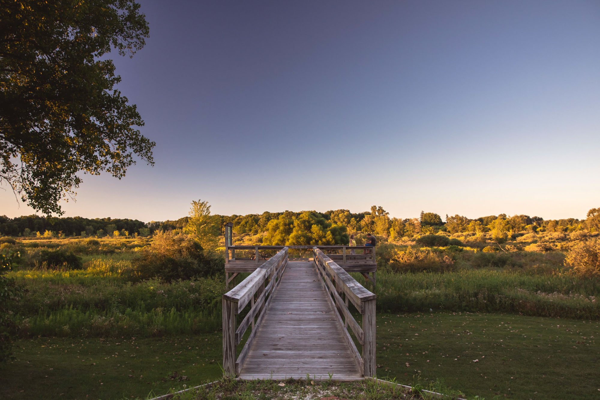 A wooden boardwalk extending over green grass and wetland area, leading towards a background of trees and a sunset sky with a gradient from dark blue to light yellow.