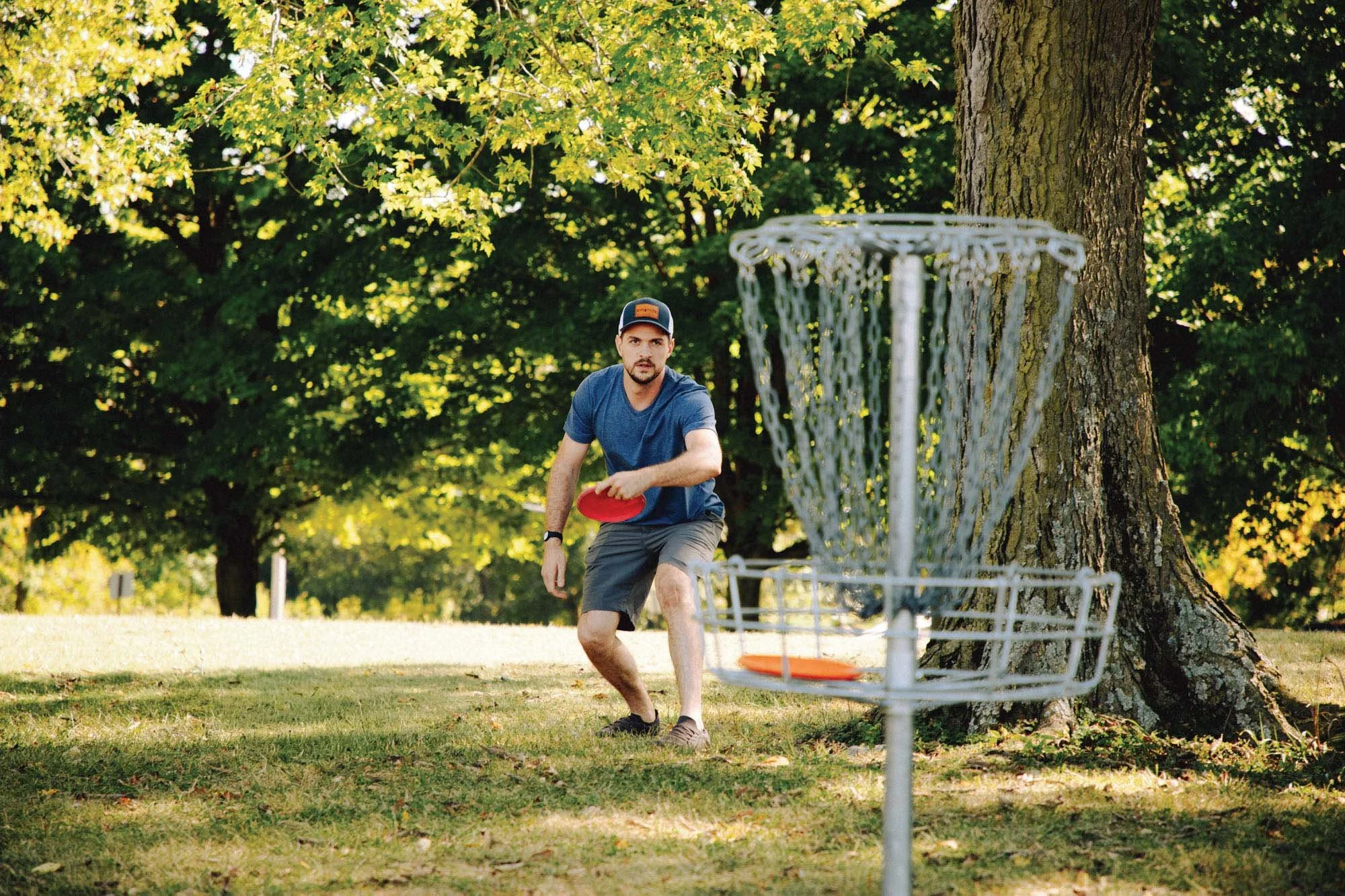 A man playing disc golf in a park, preparing to throw a disc with a metal disc golf basket in the foreground and trees with green and yellow leaves in the background.