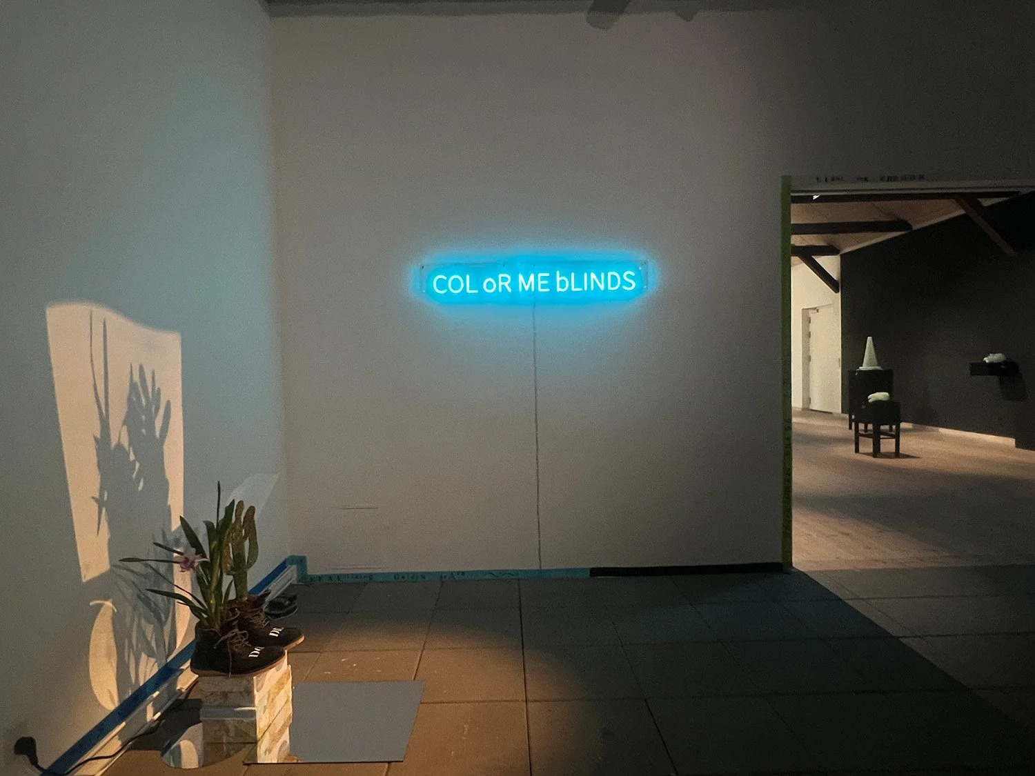 color me blinds-optimized.jpg