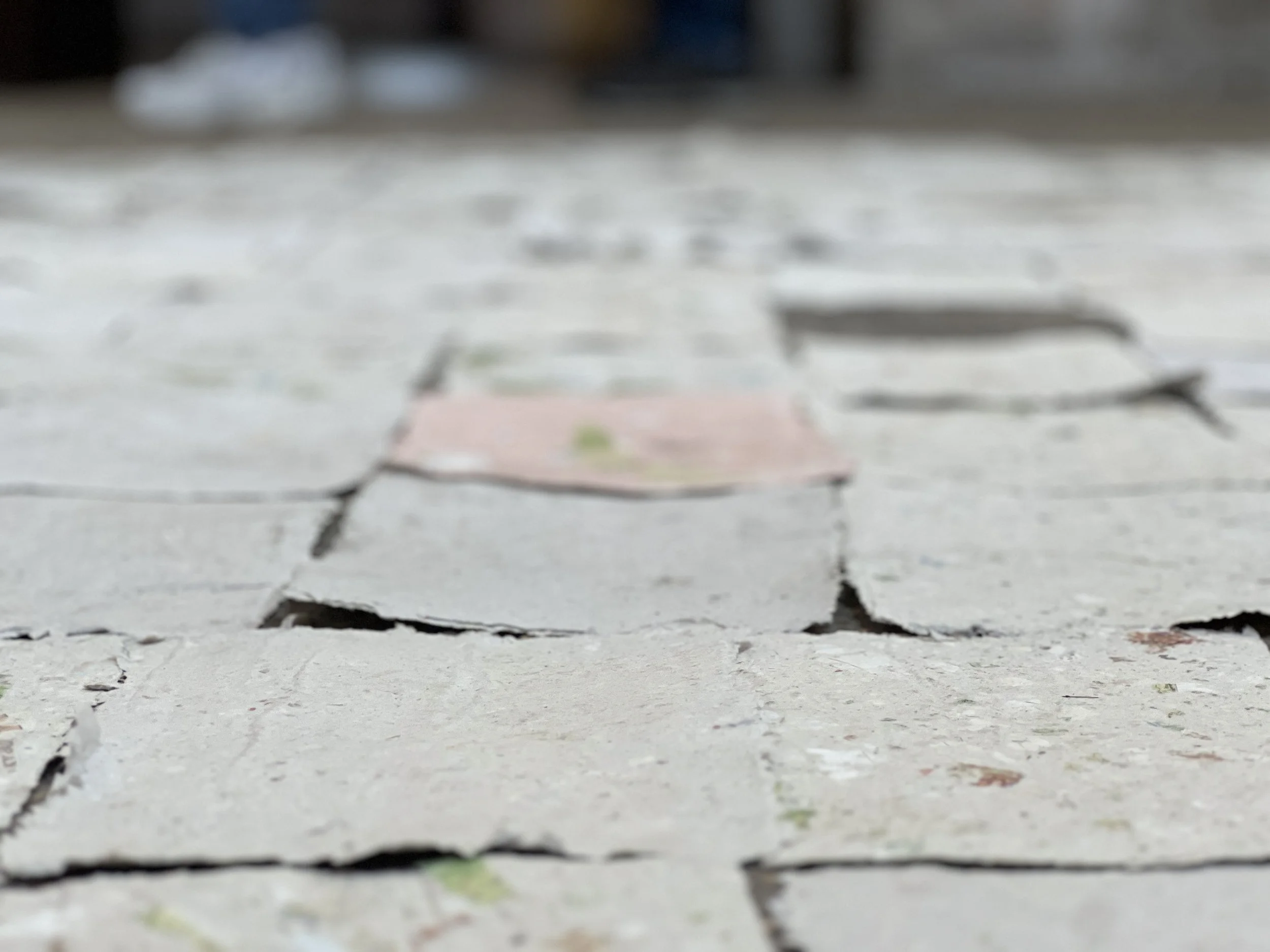 Close-up of a cracked stone pavement with a blurred background.