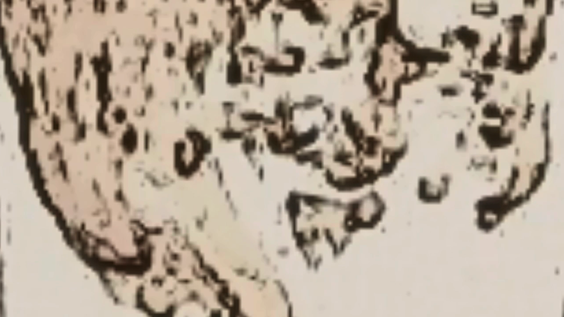 Picture 2.png