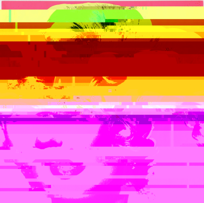 warhol.gif