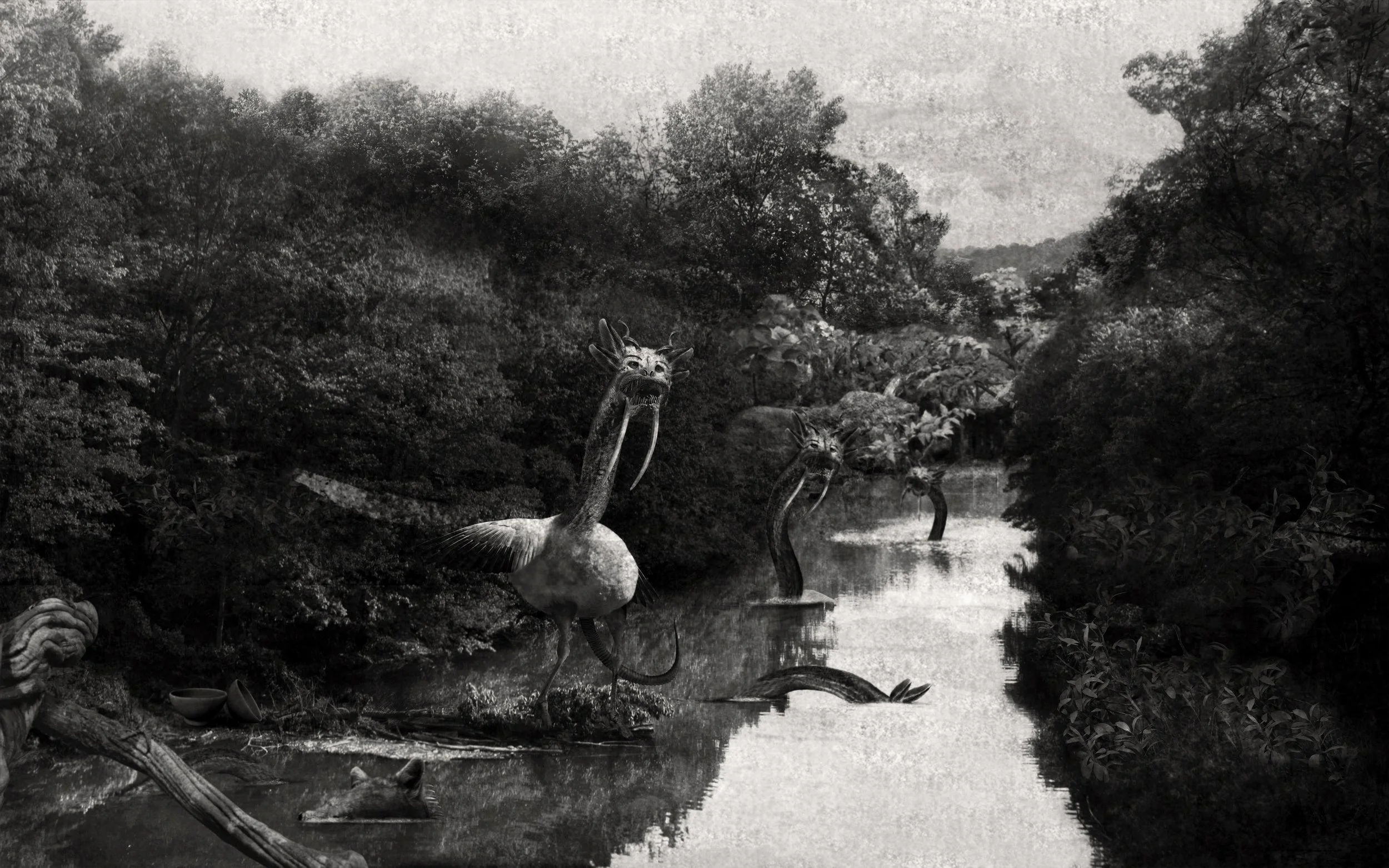 RiverosLoreto_CygnusMorsus_2.jpg