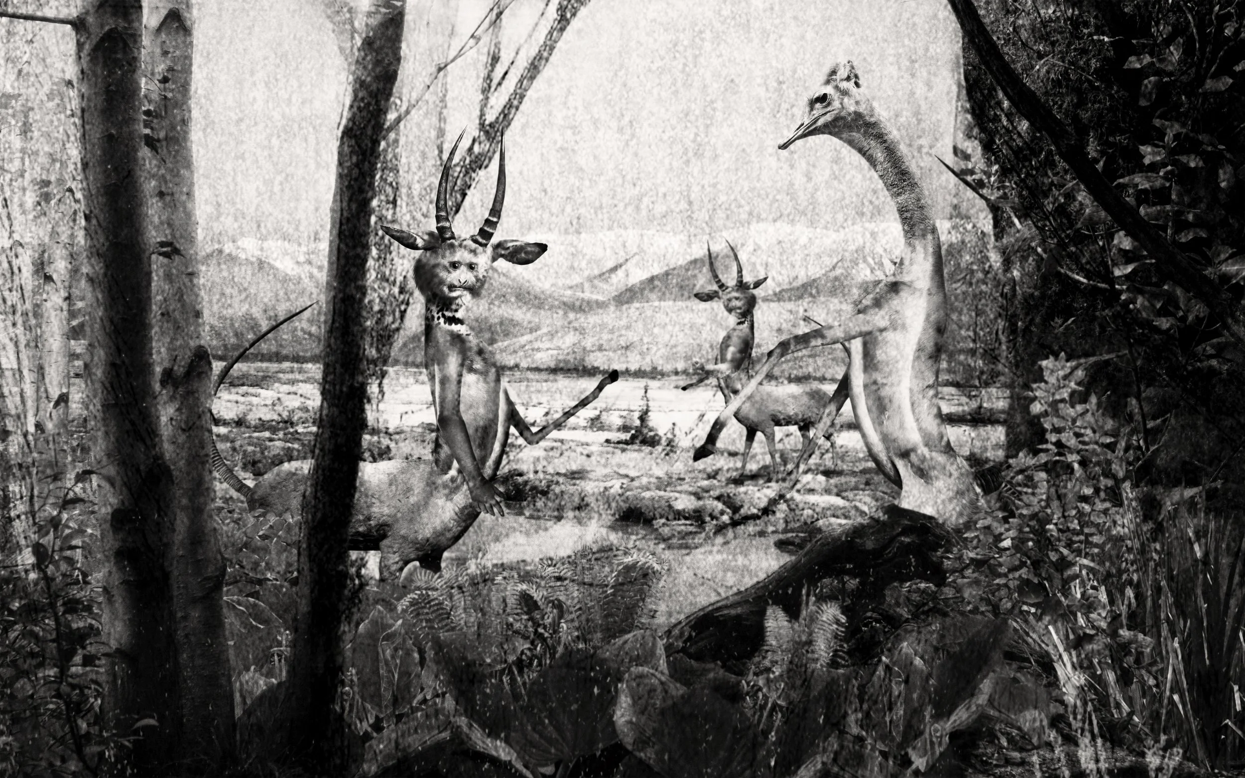 RiverosLoreto_CaperJubatus_2.jpg
