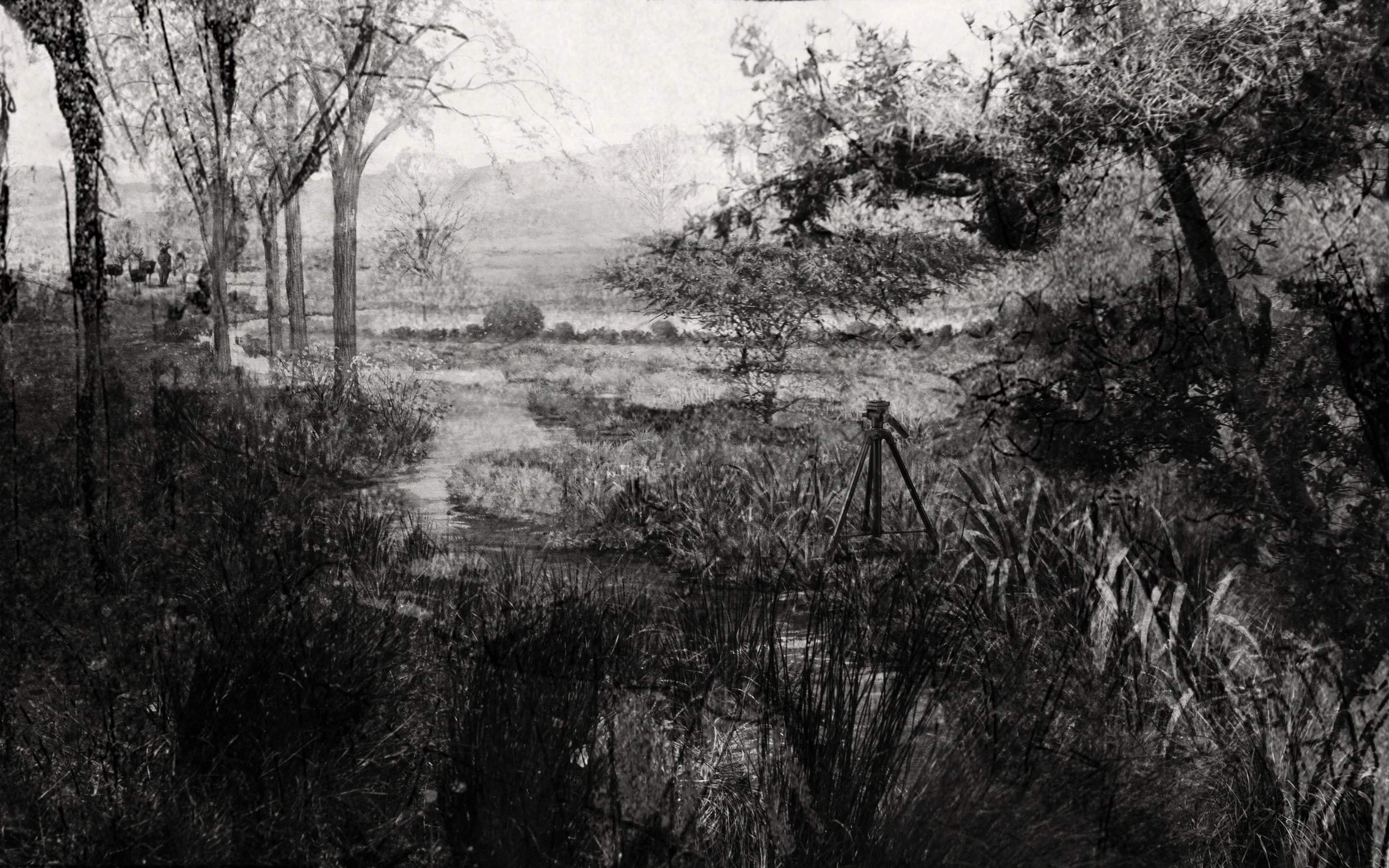 RiverosLoreto_HomoProboscideaTigris_2.jpg