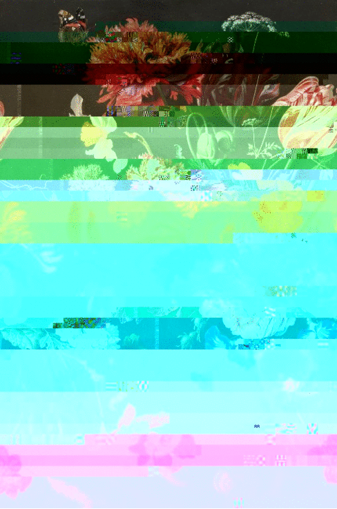 de heem.gif
