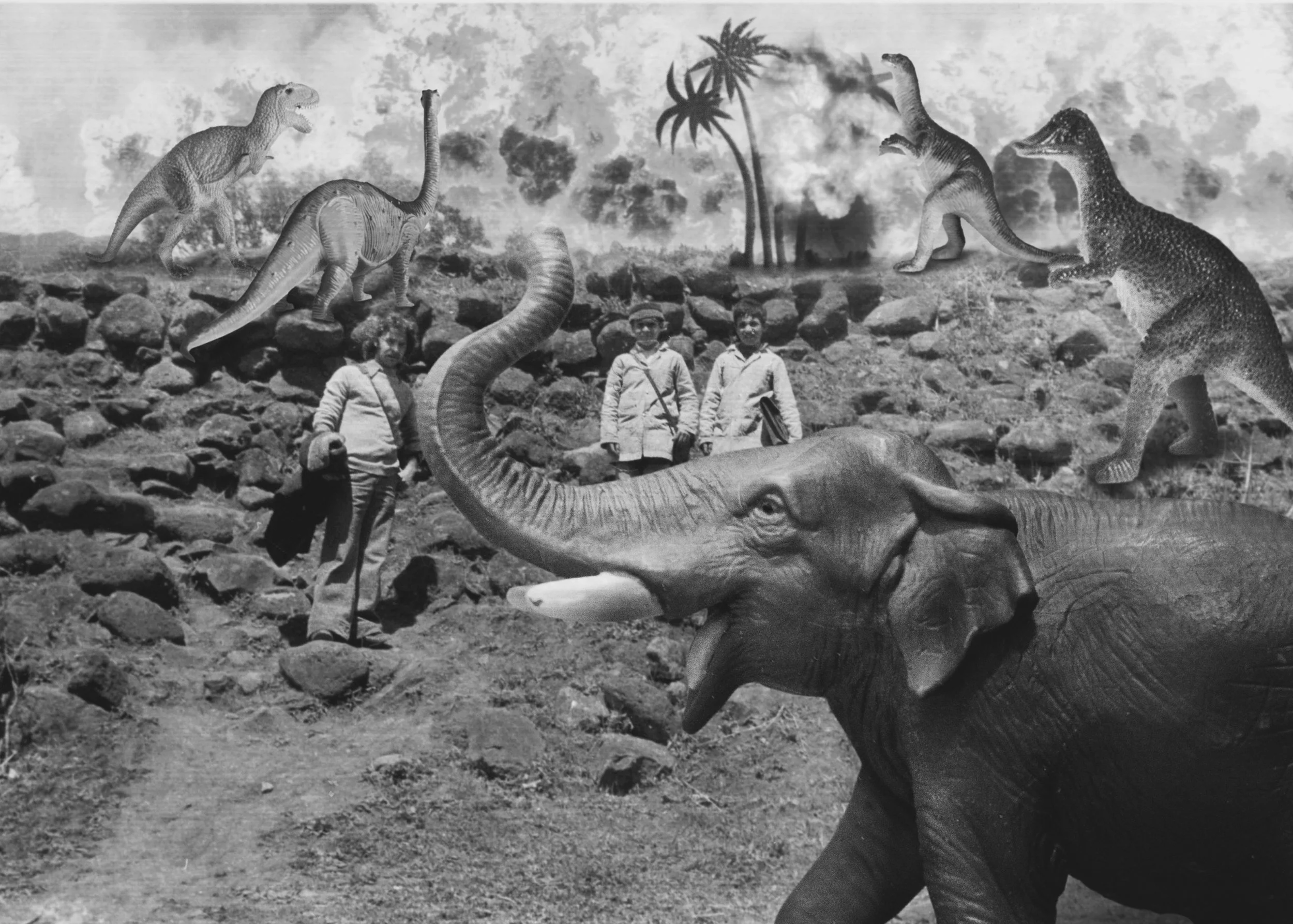 elefante grande.jpg