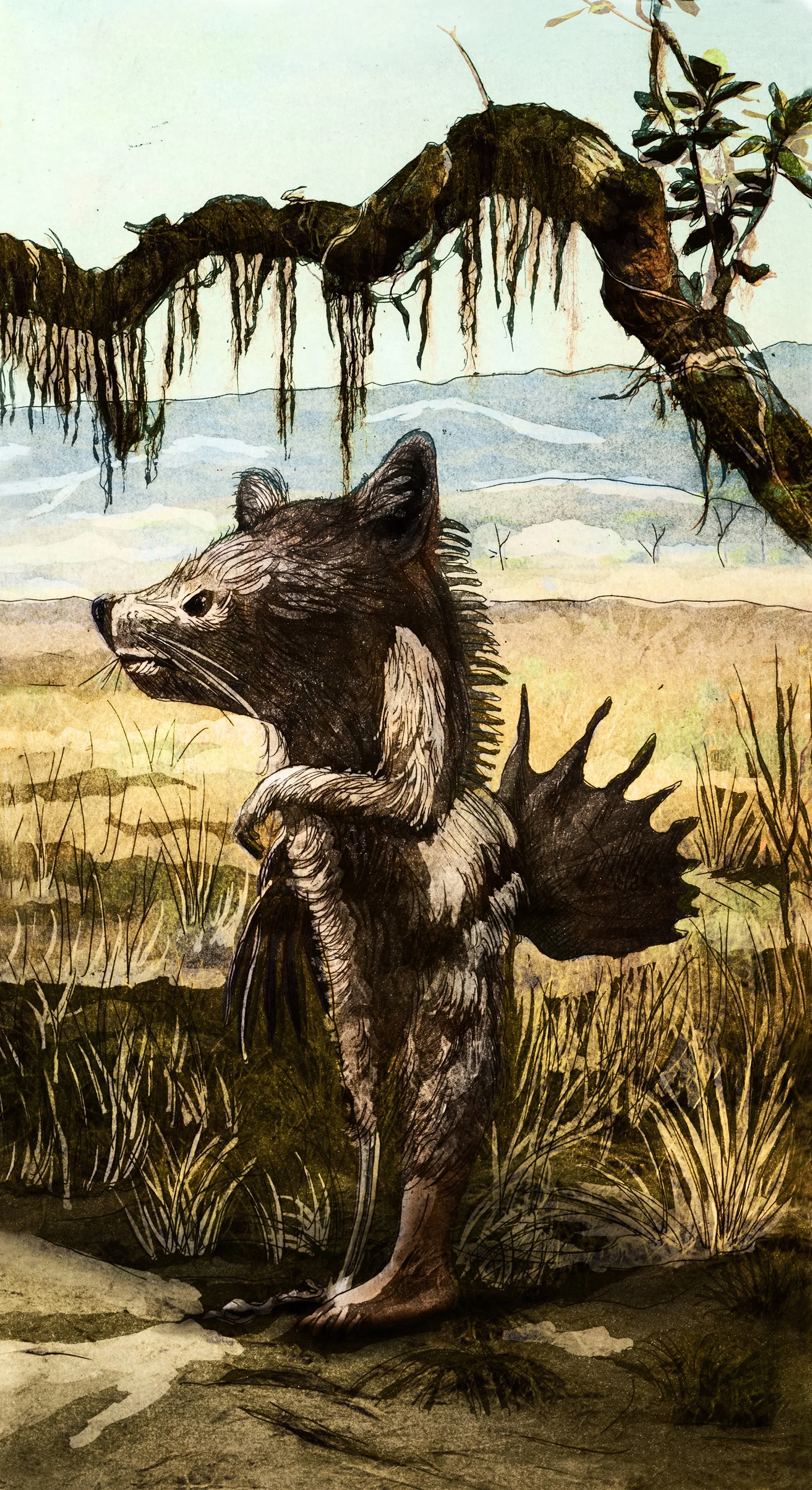 RiverosLoreto_PhocaTroglodytes.jpg
