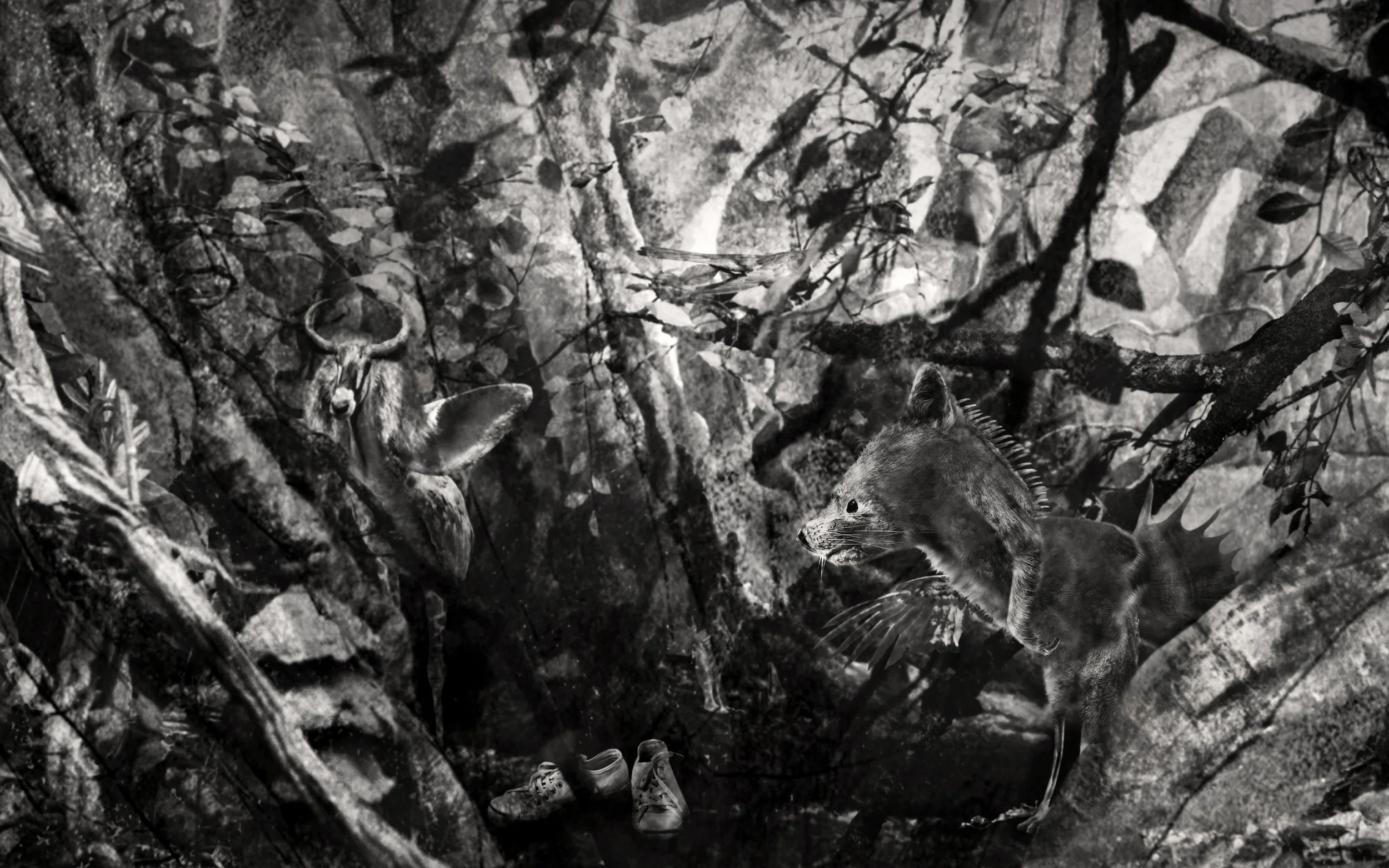 RiverosLoreto_PhocaTroglodytes_2.jpg