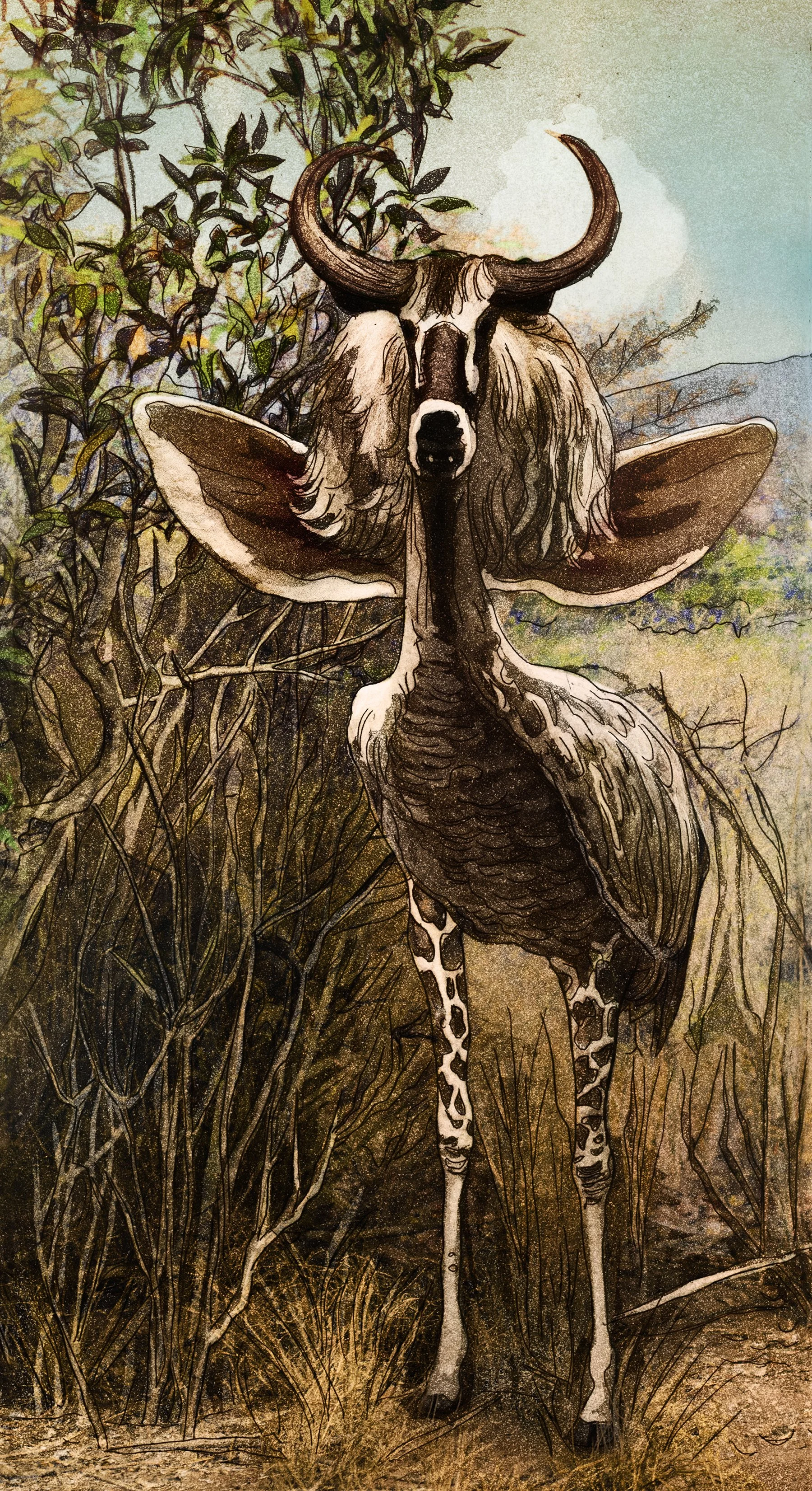 RiverosLoreto_CamelopardalisLeo.jpg