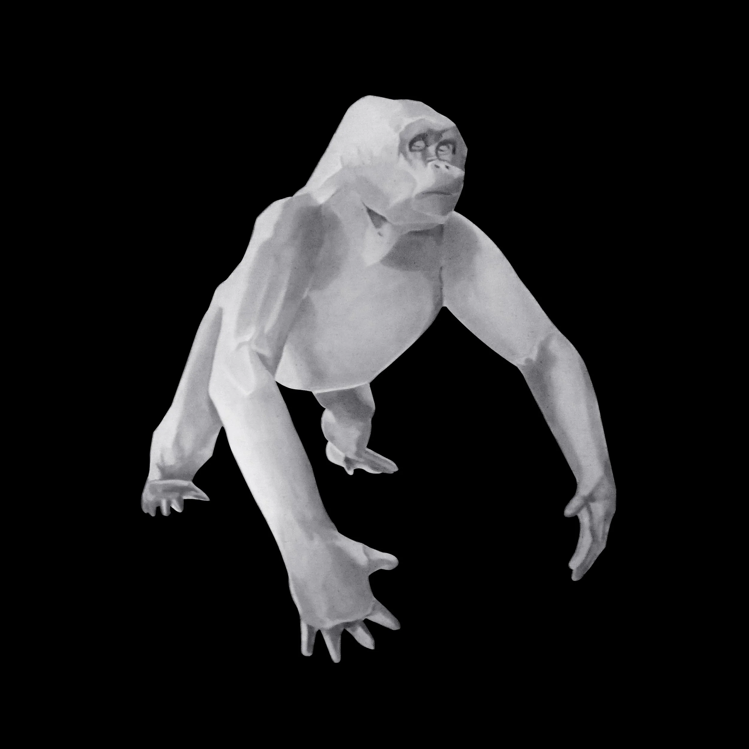 mono-2020.jpg