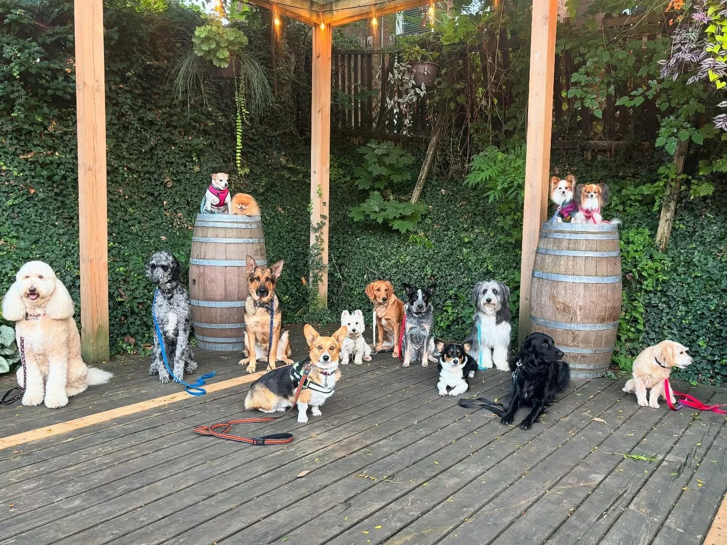 lockstreet pack walk.jpg