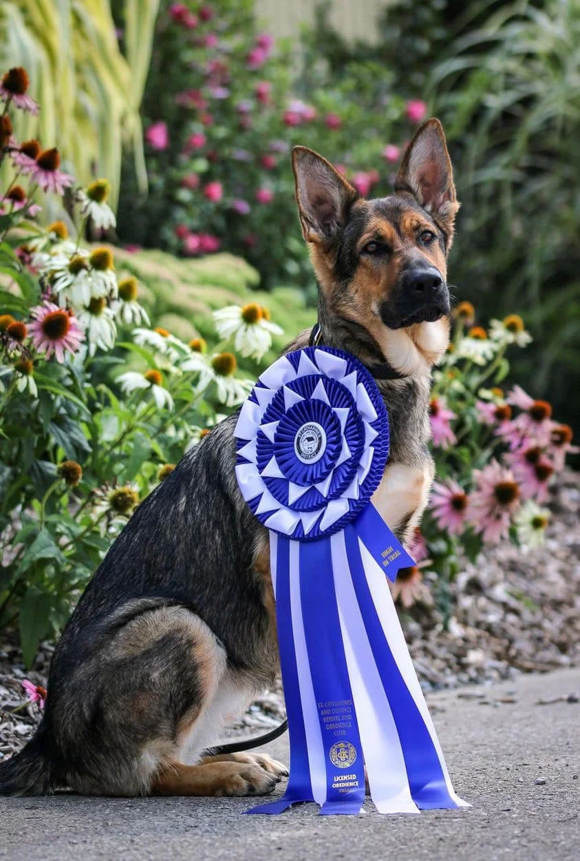 Fire High in trial Ribbon.jpg
