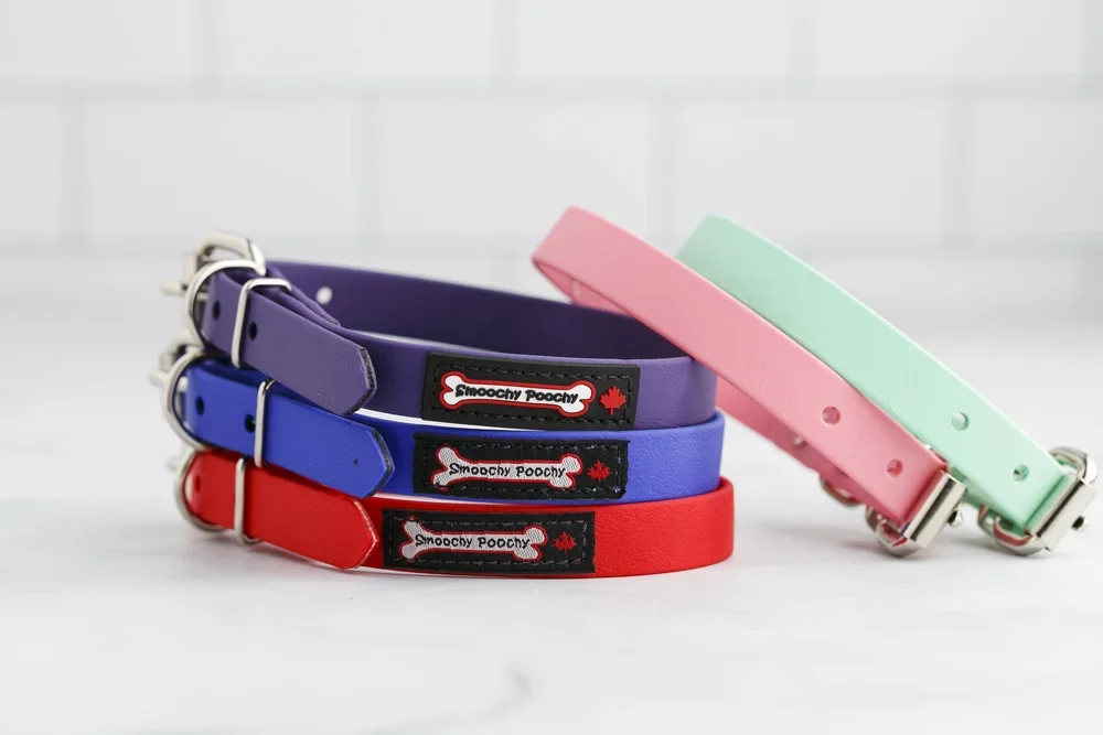 Smoochy Poochy Collar