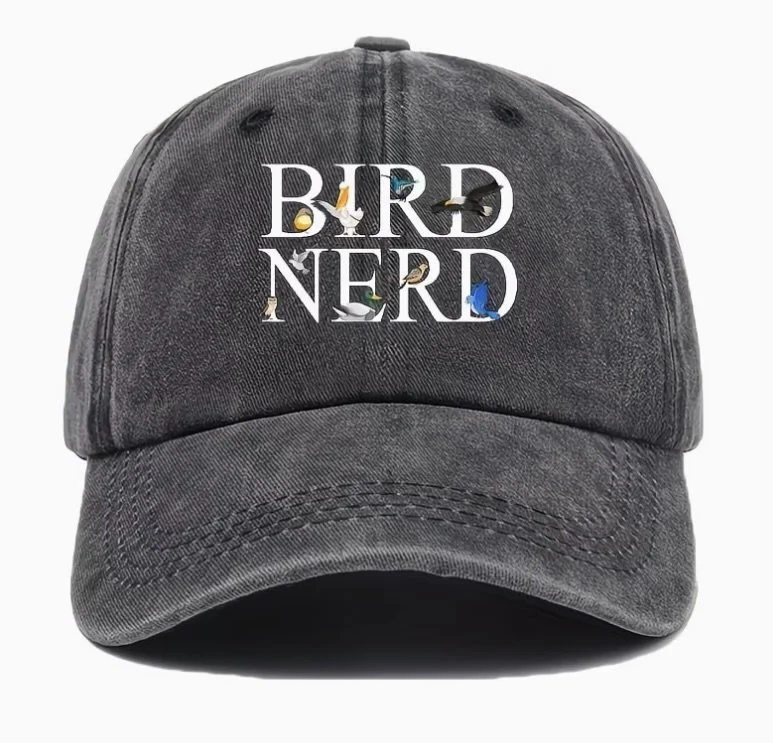 Image 4-3-26 at 9.00 AM.jpeg