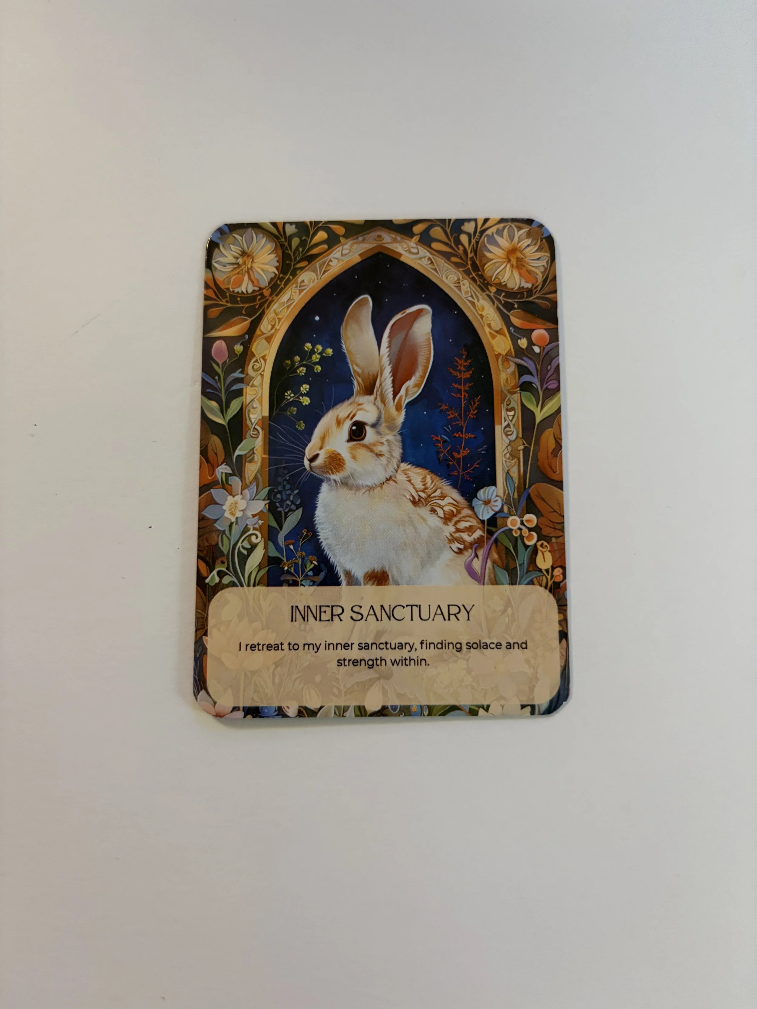 image2 (18).jpeg