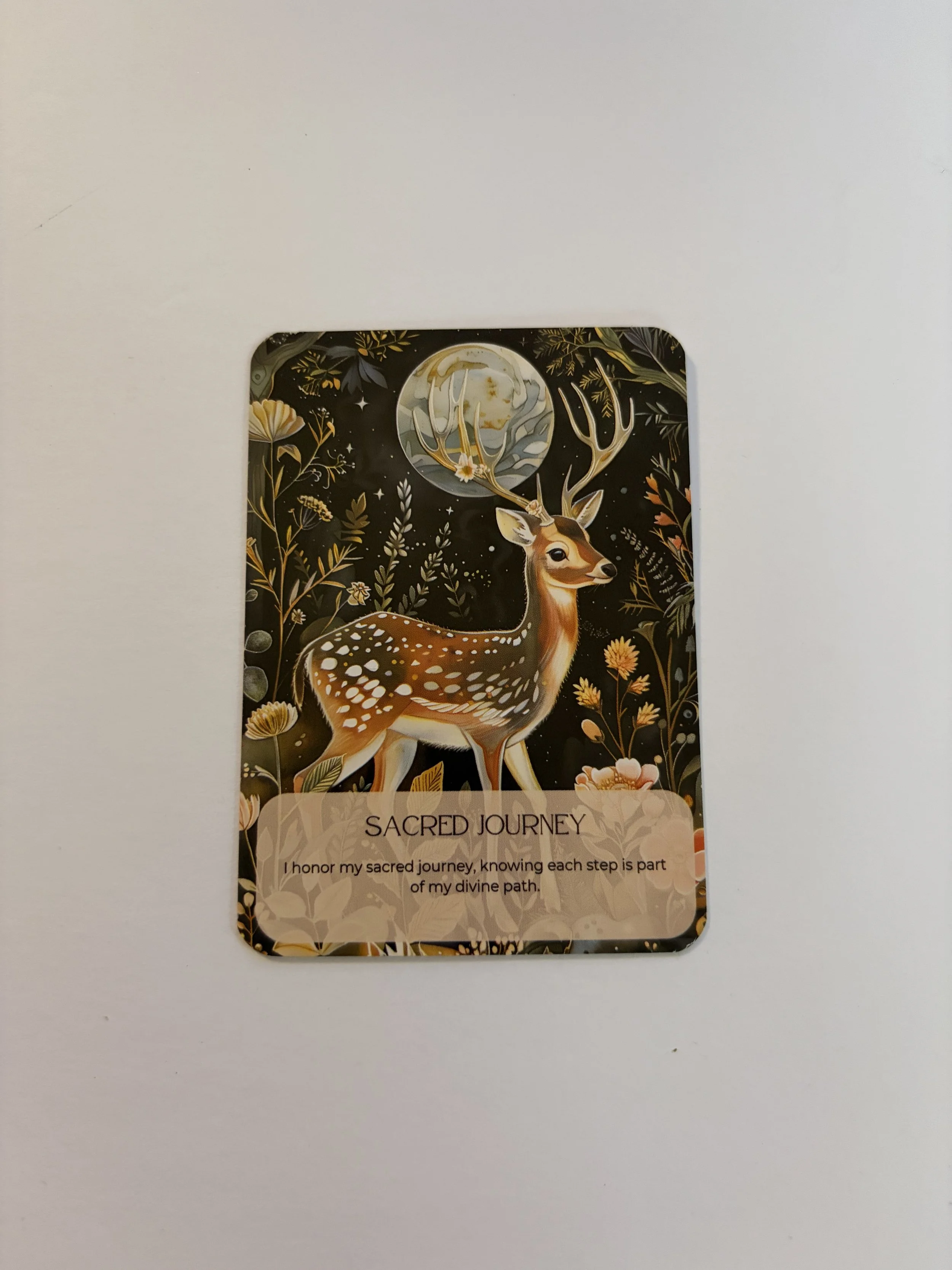 image1 (18).jpeg