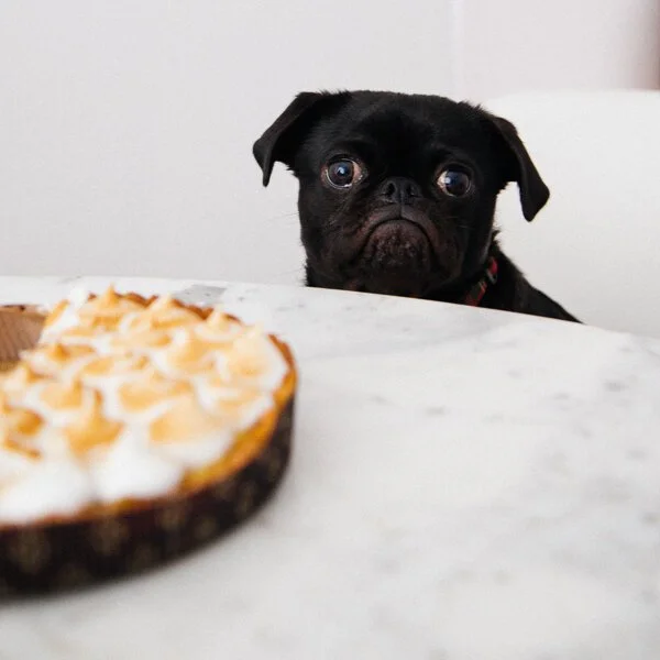 Easy Steps to Control Your Weight and Health With Intermittent Fasting