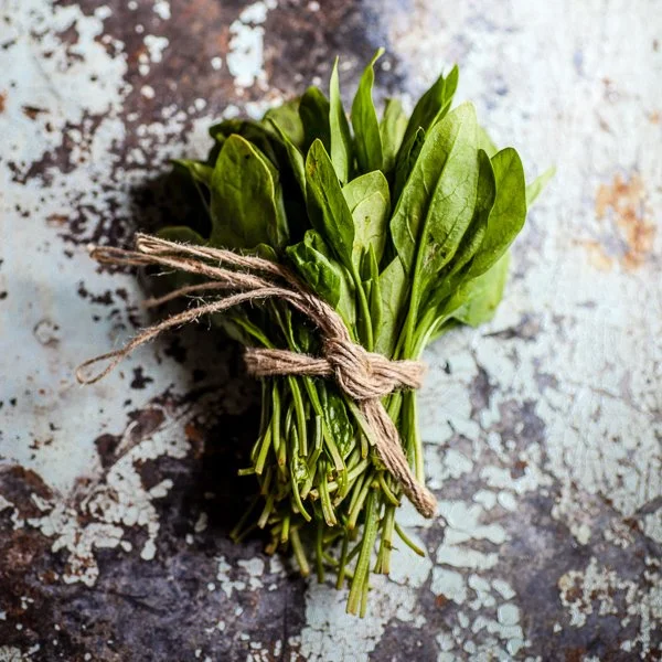 The Incredible Power of Magnesium