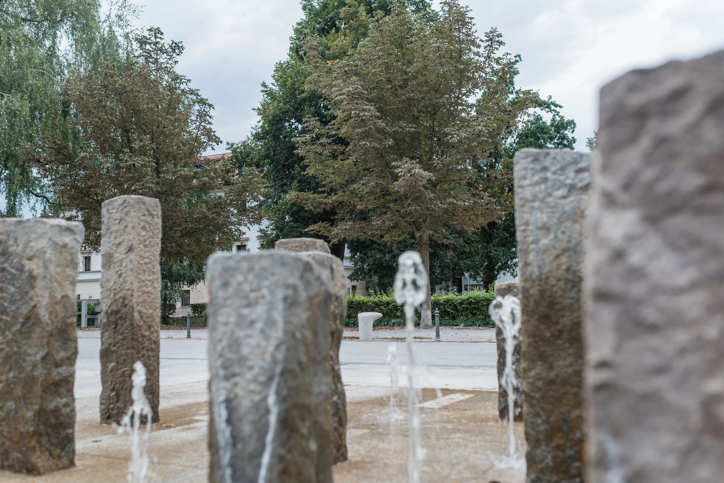 dsc_4486_50282422771_o.jpg