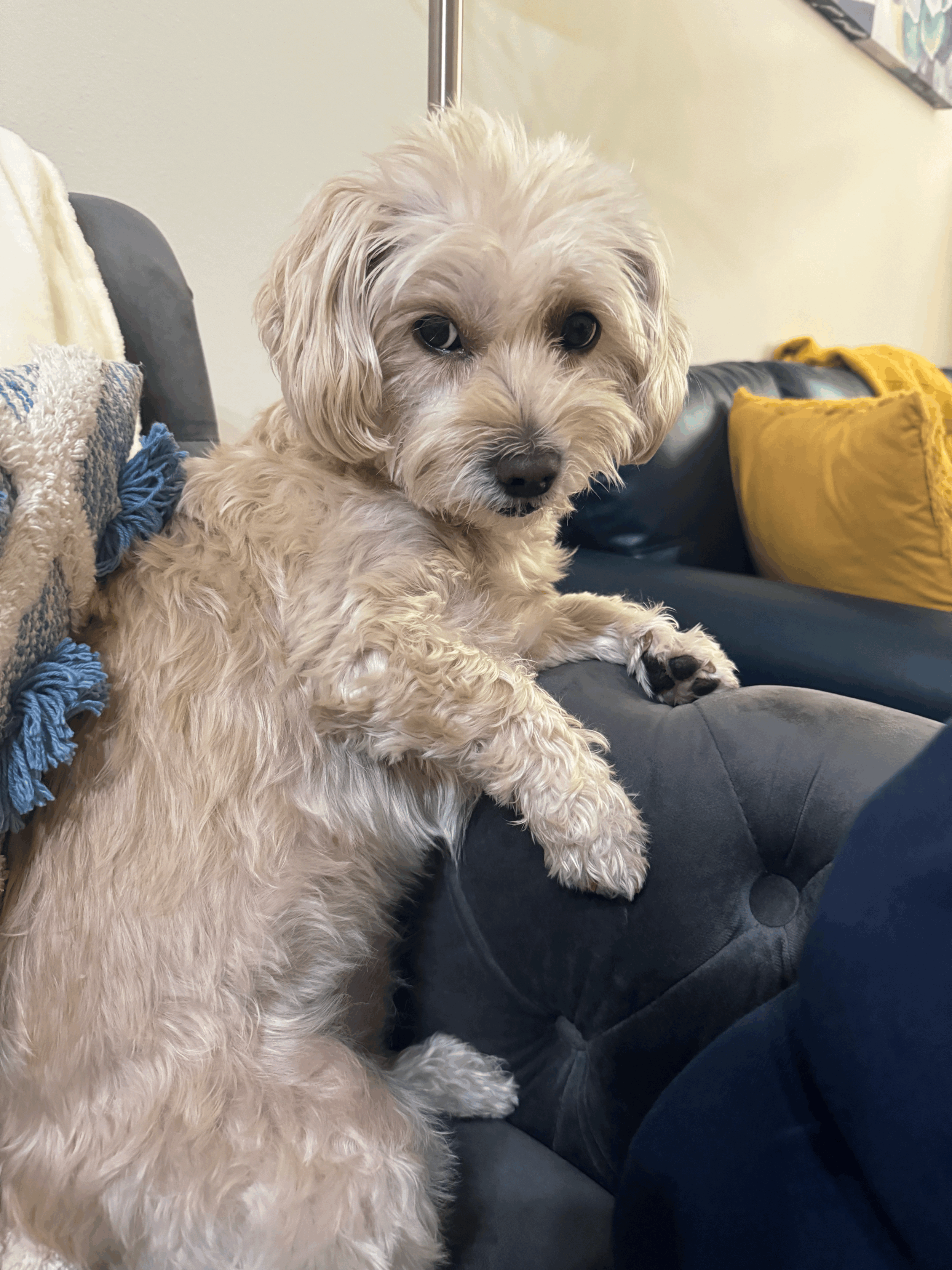 Time To Voice My Opinion