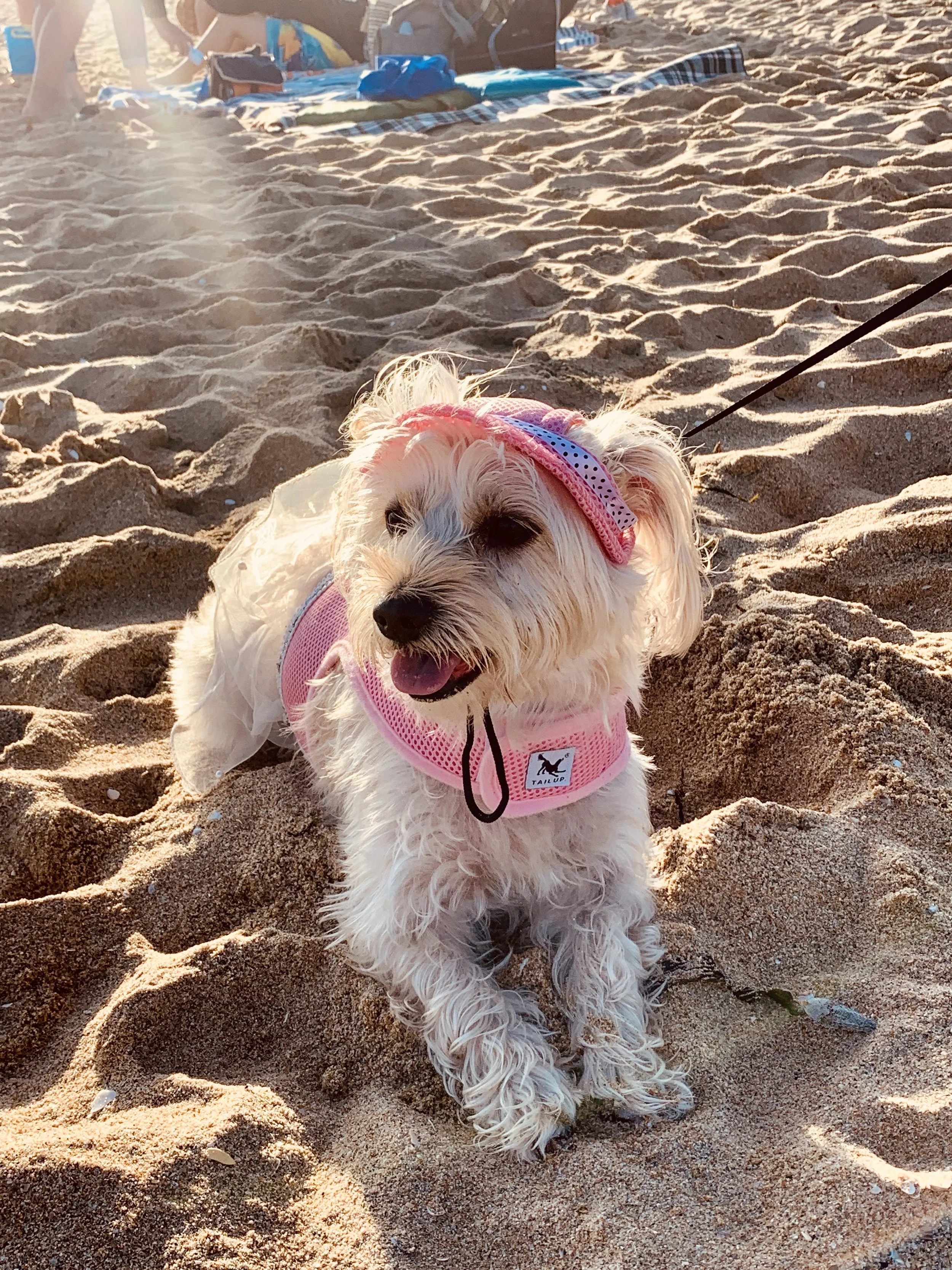 Taking Over, One At A Time