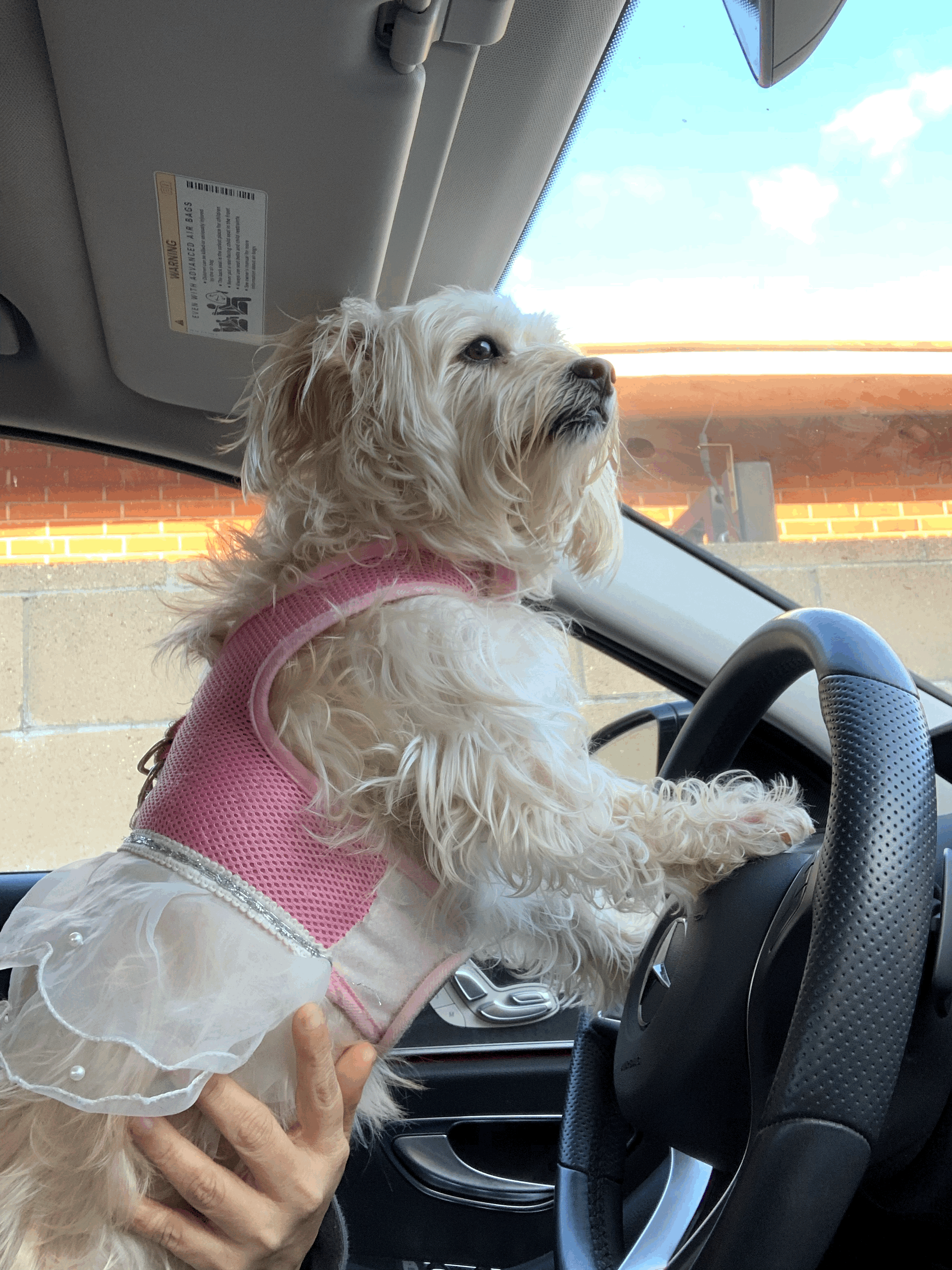 Snacks And The Betrayal