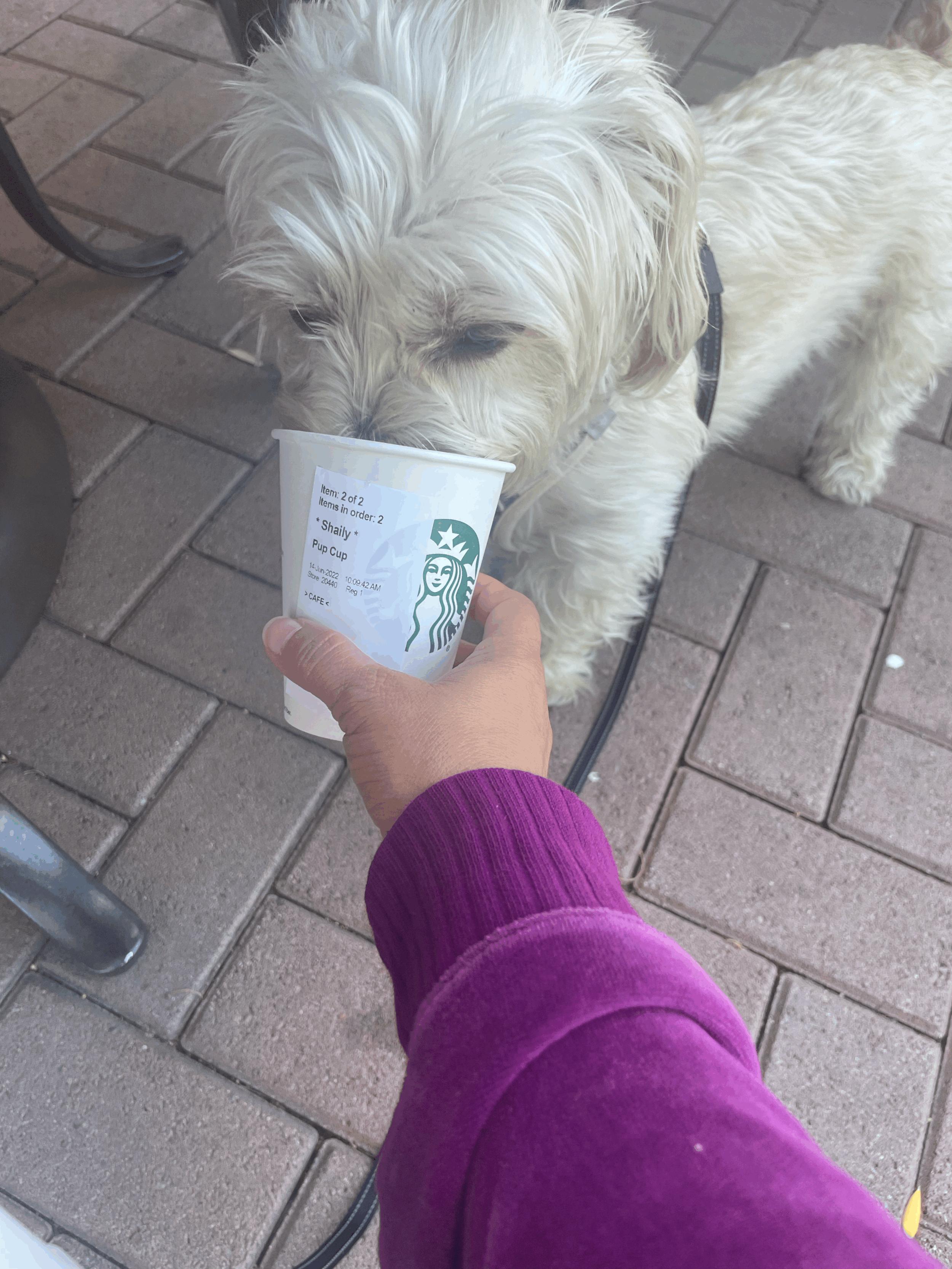 Our Mornings, Our Comfort