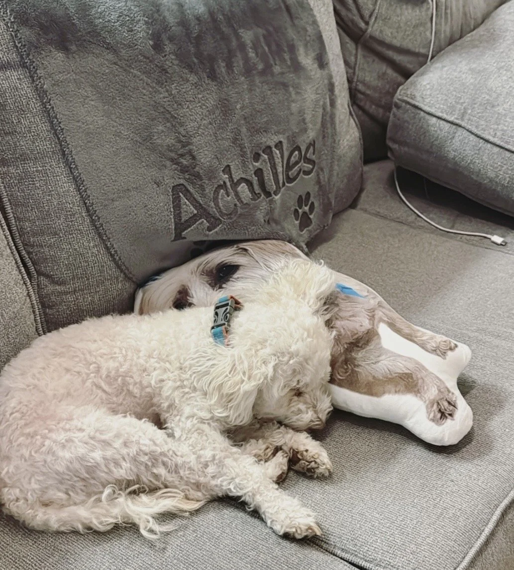 Bella’s Whispers