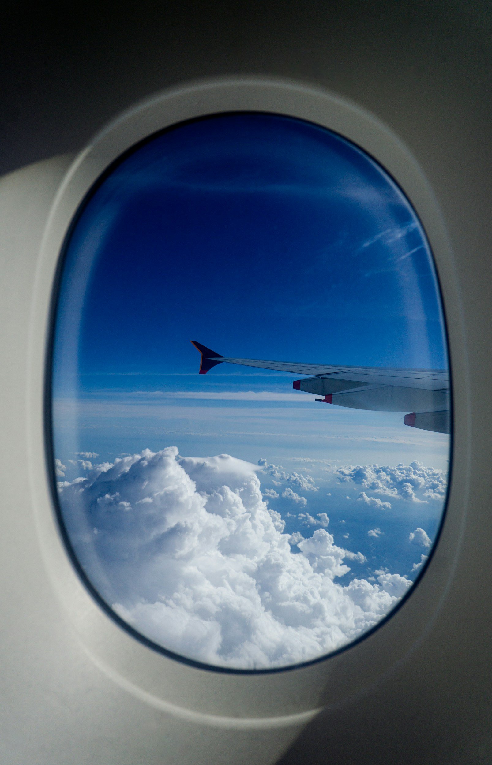 Travel Advisor Airline