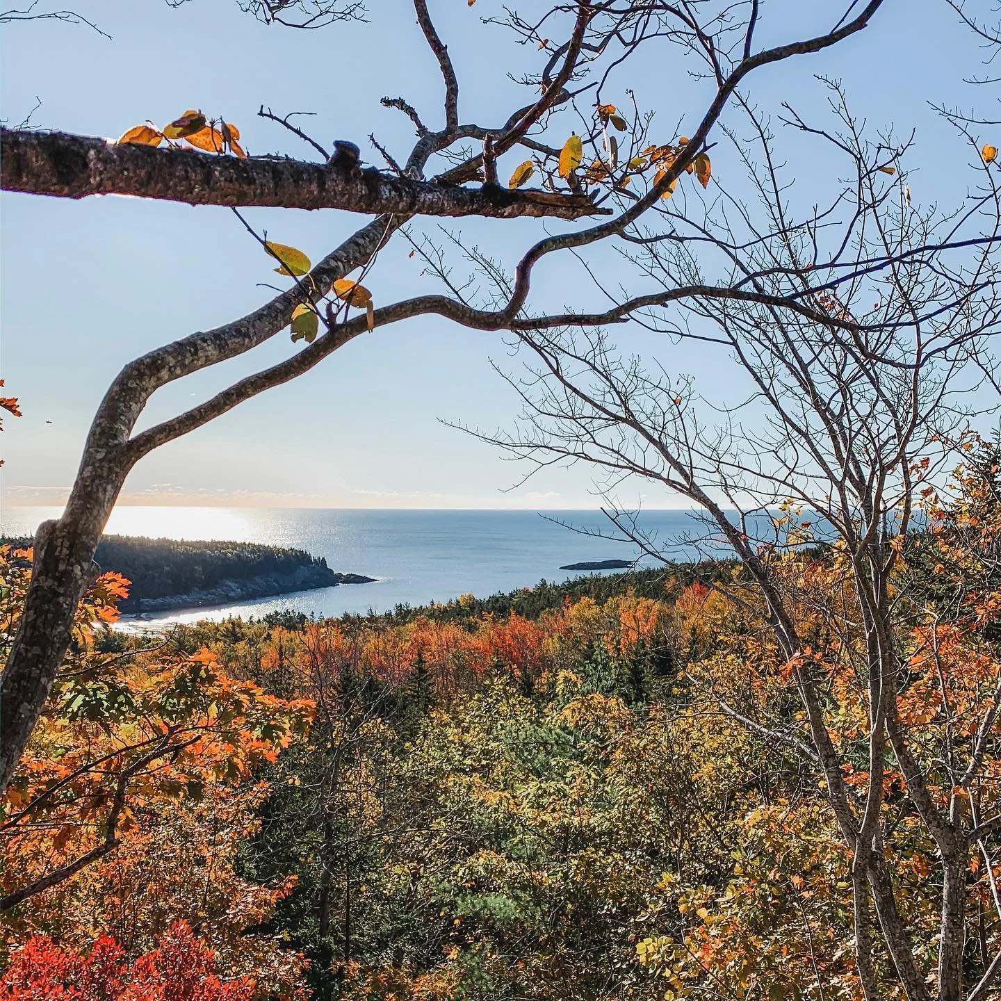 maine.jpg