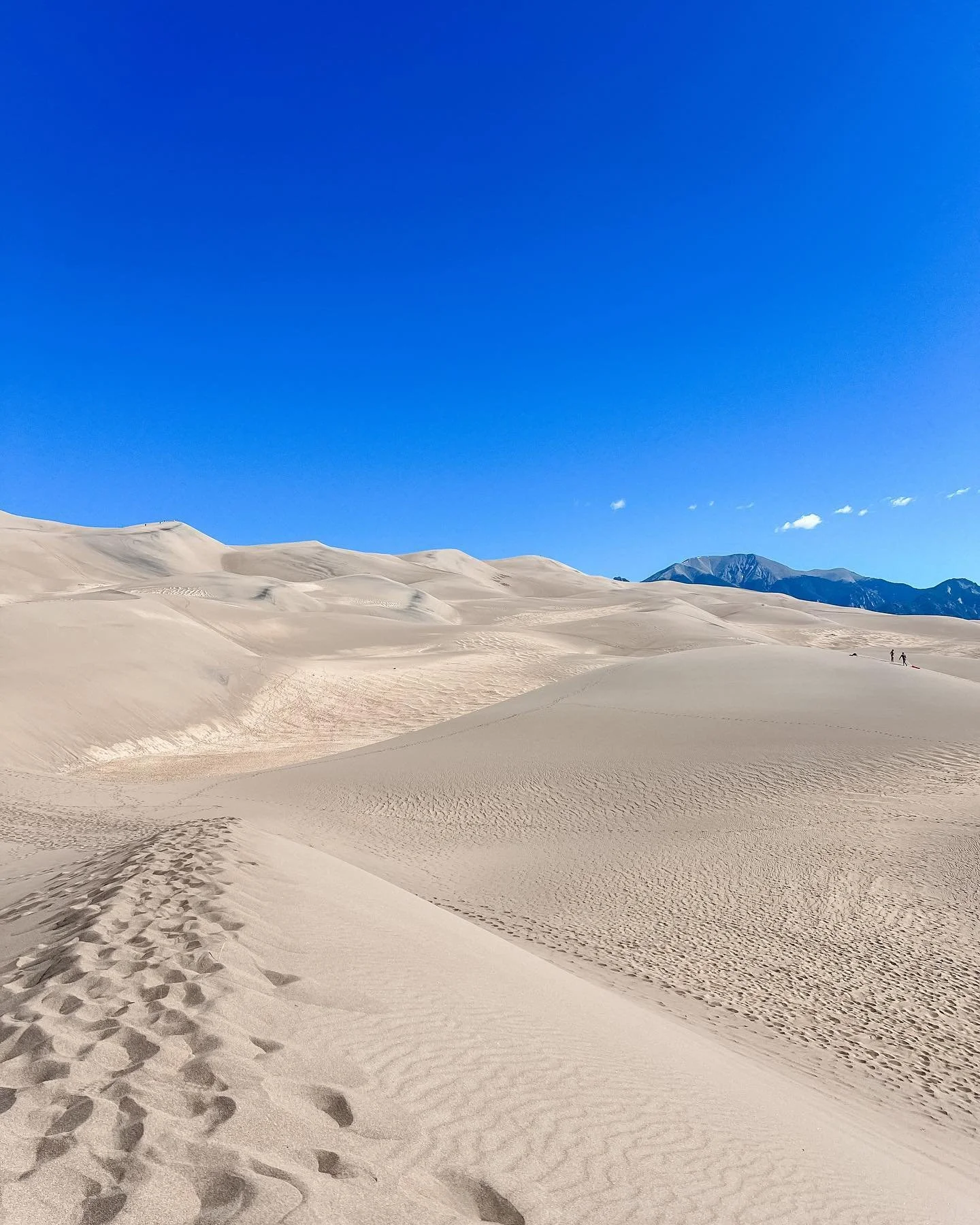 sand dunes.jpg