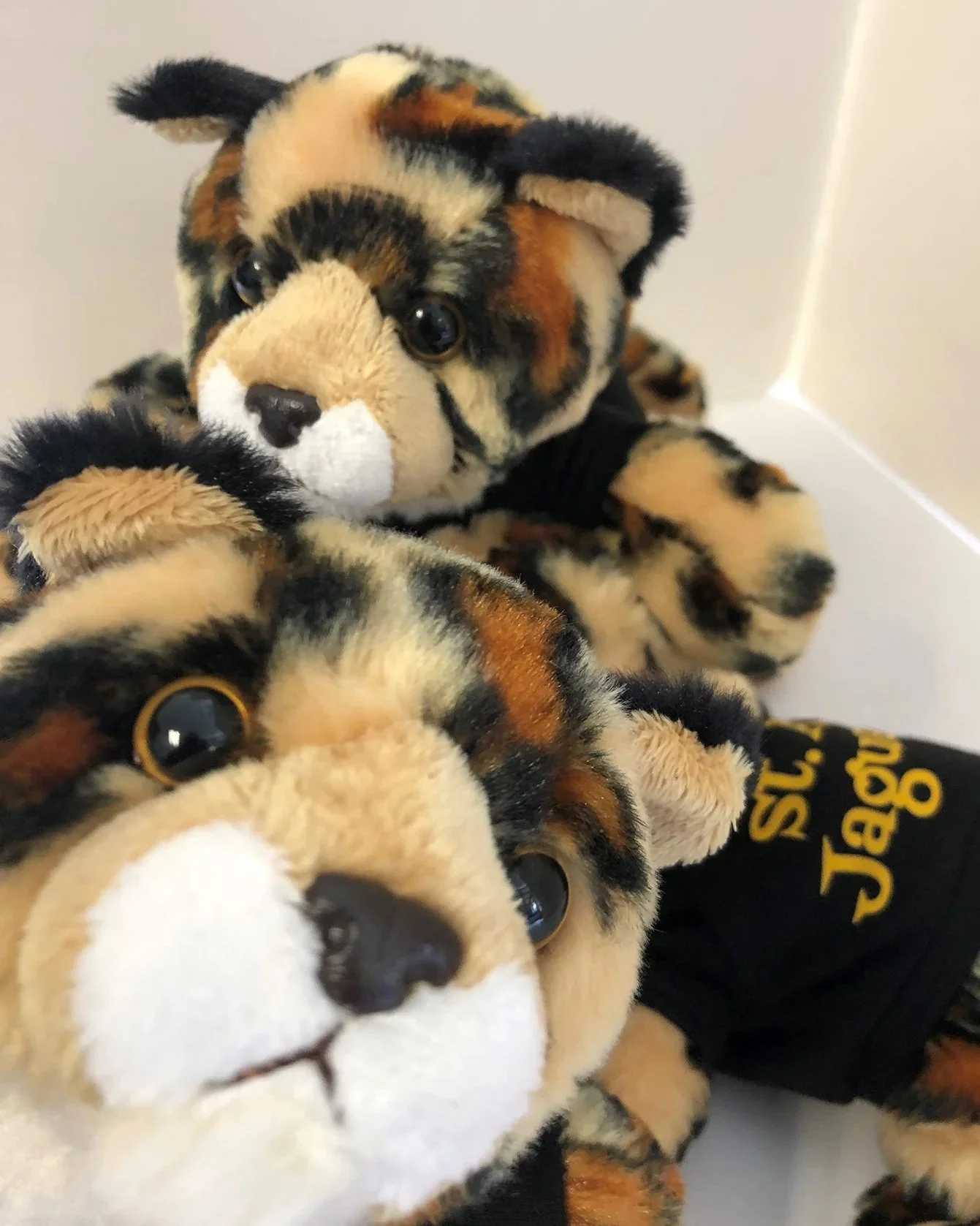 Stuffed Jaguar.jpg