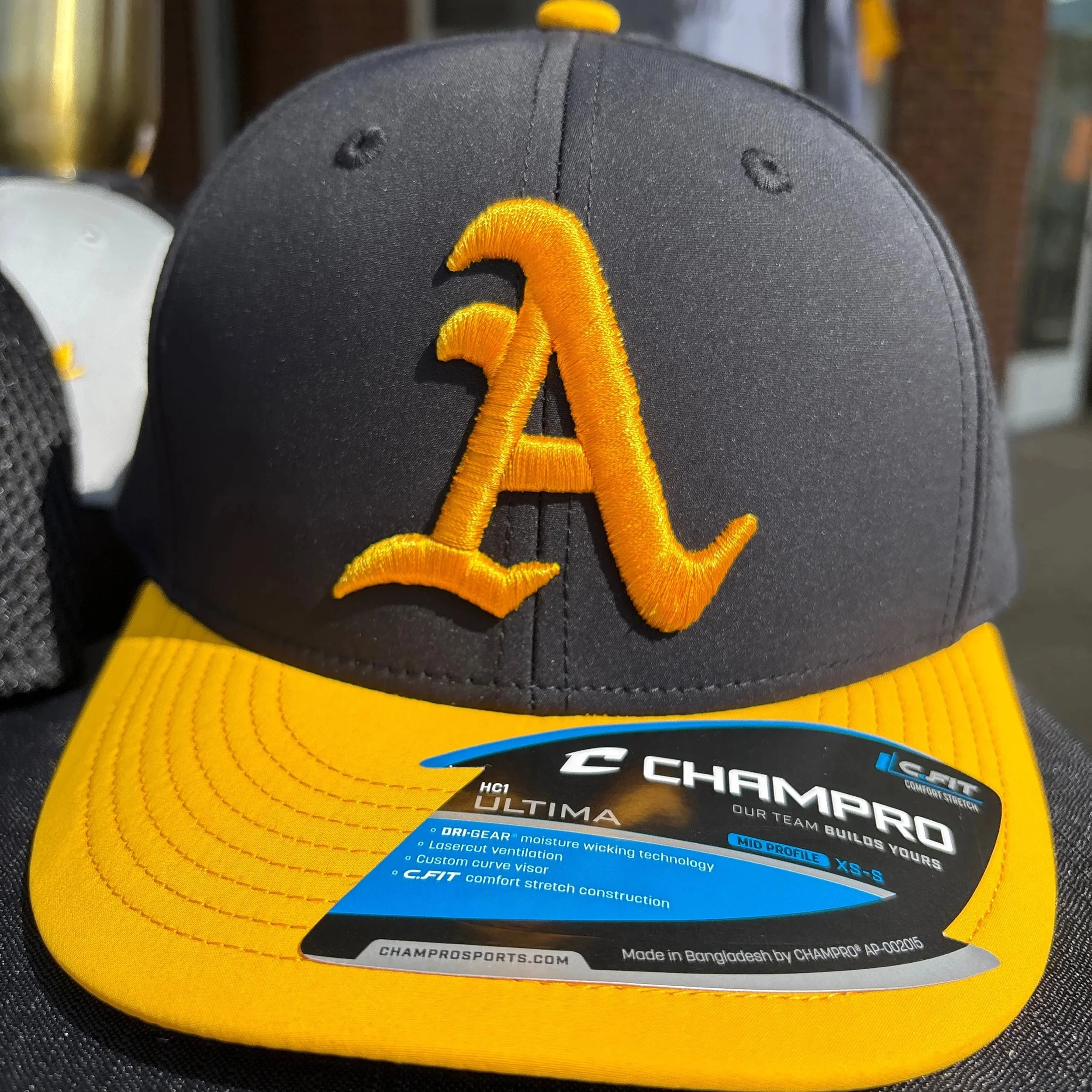 Fitted Hat