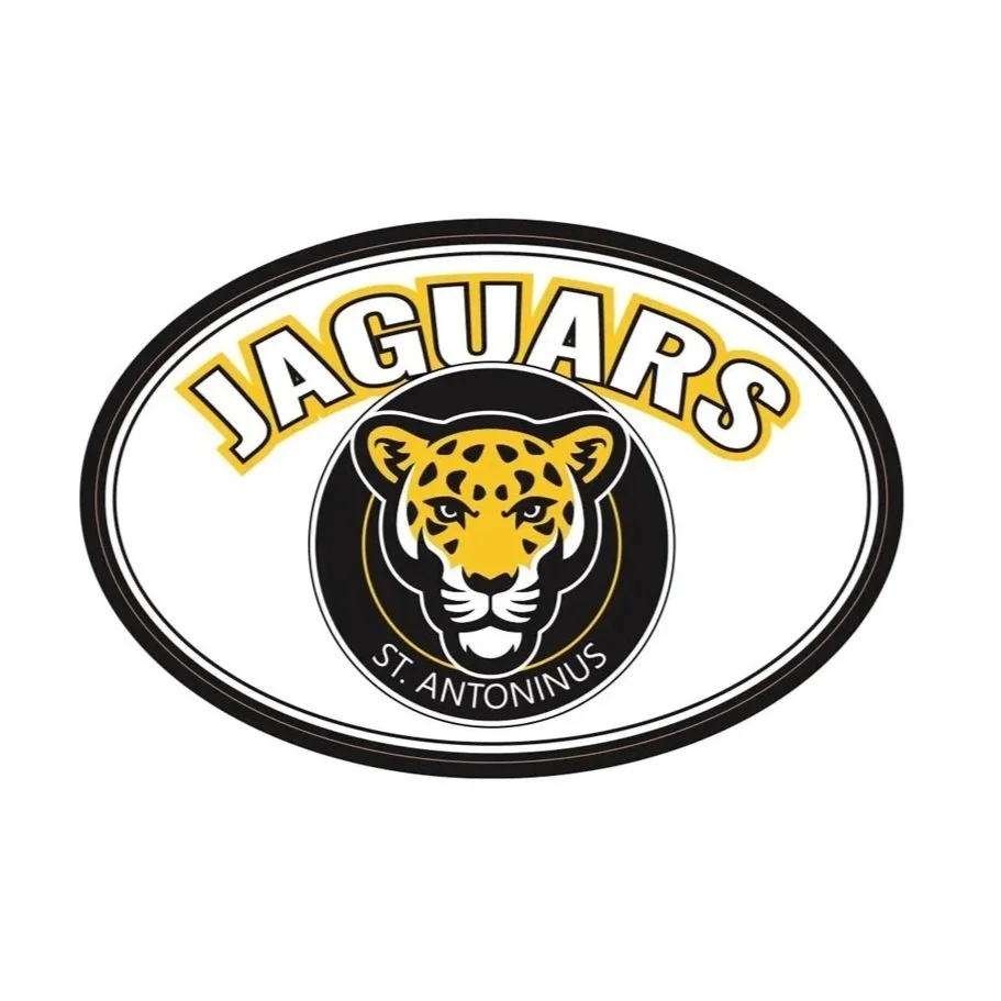 Jaguar Magnet