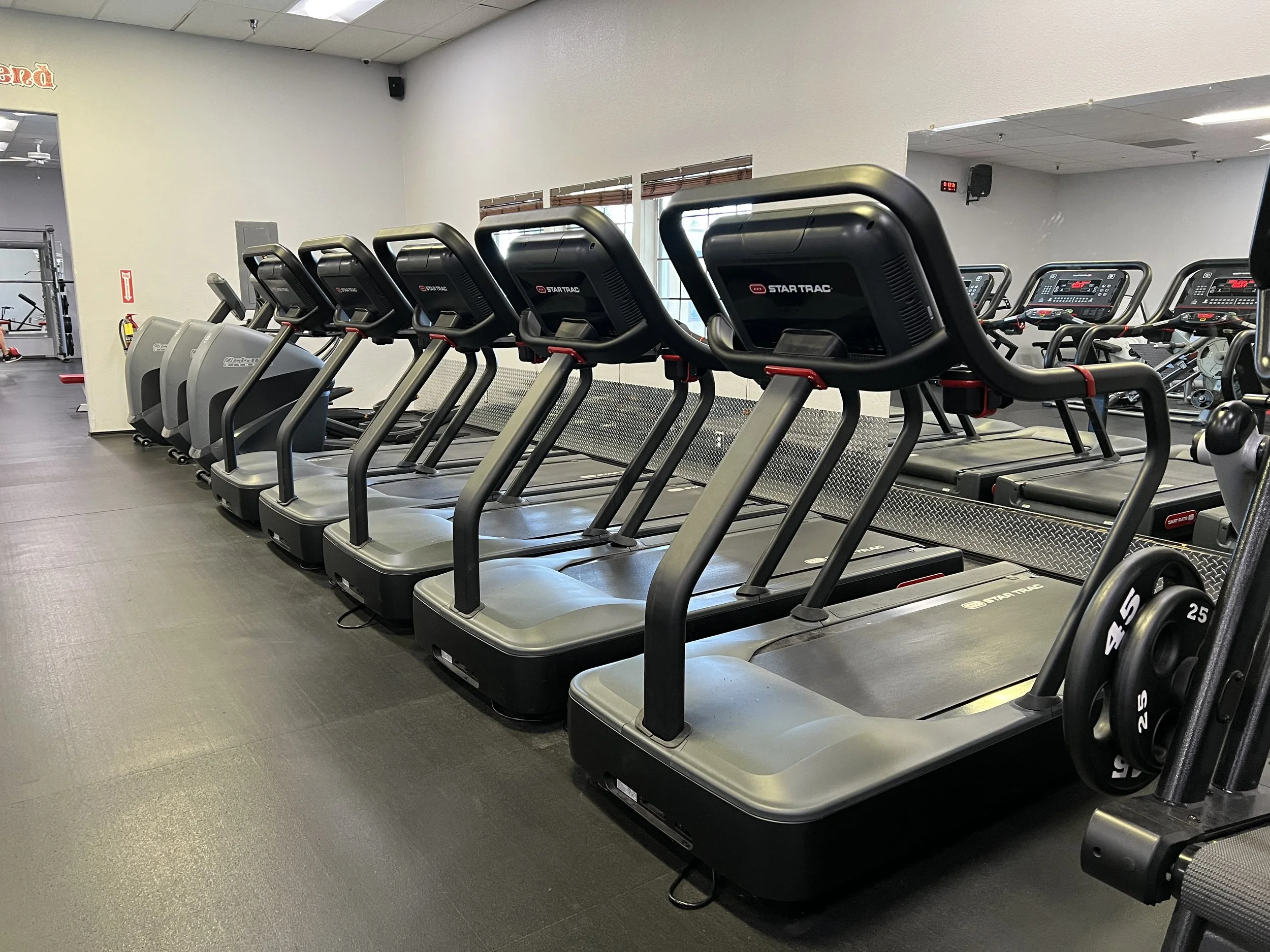 Row of treadmills in a gym with a mirror on the wall behind them.