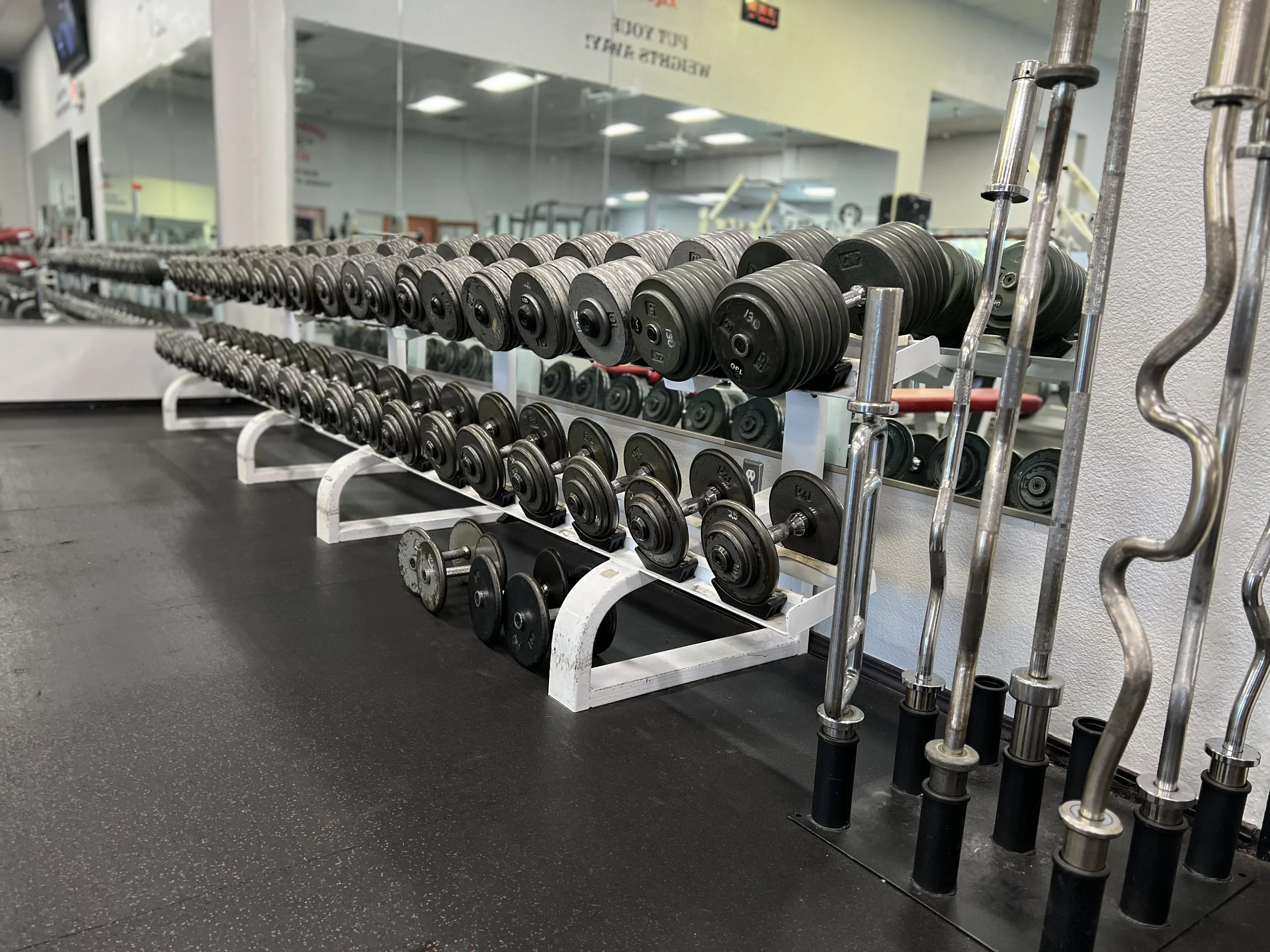 Rack of various black dumbbells in a gym with mirrors and exercise equipment in the background.