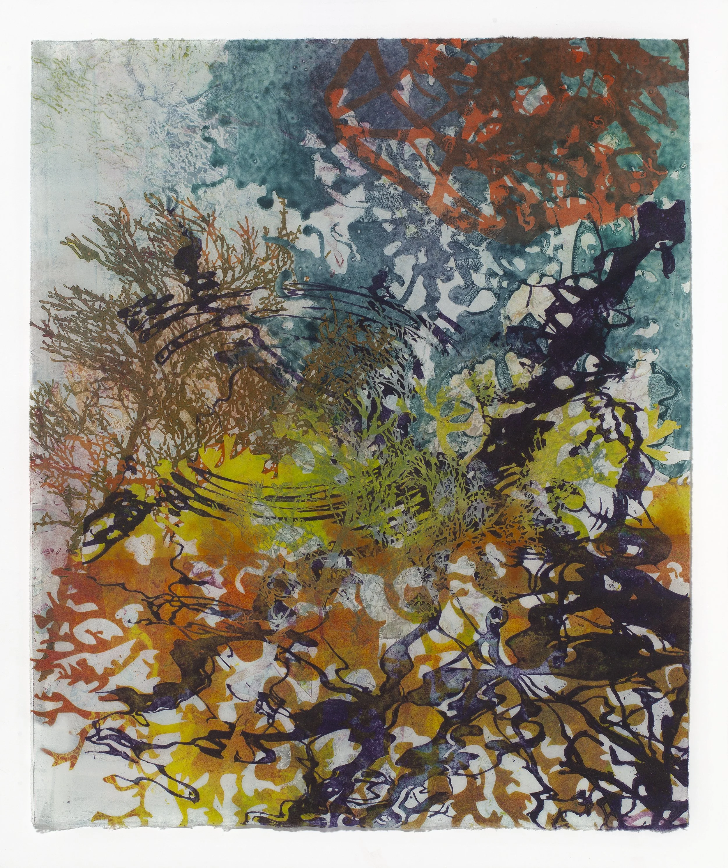 Echo of Chlorophyll.jpg