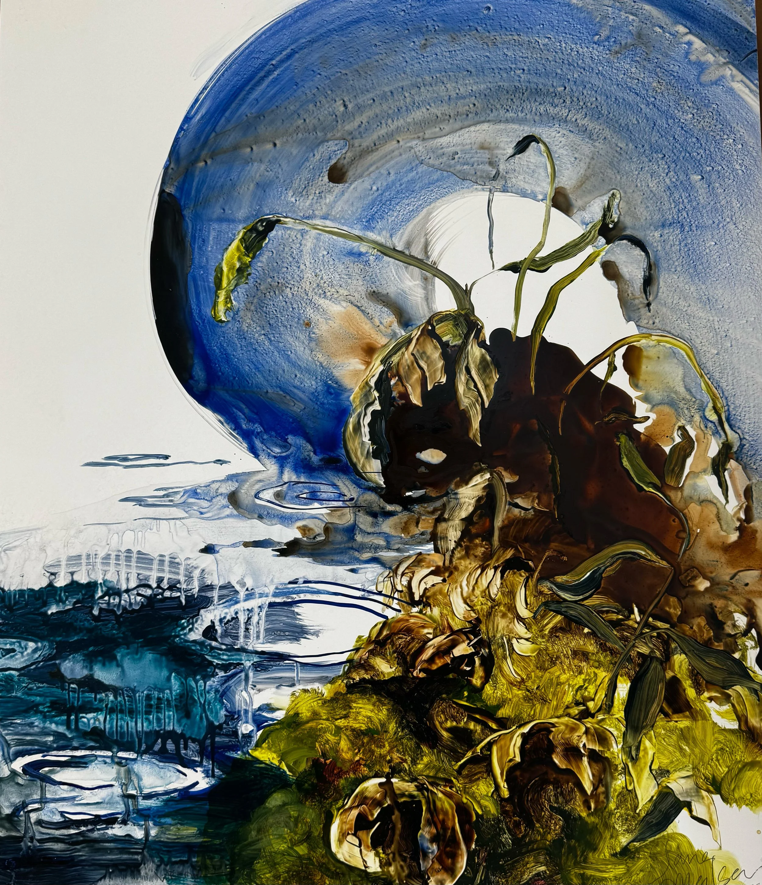 Vernal Pond 28.75_x24.5_.jpg