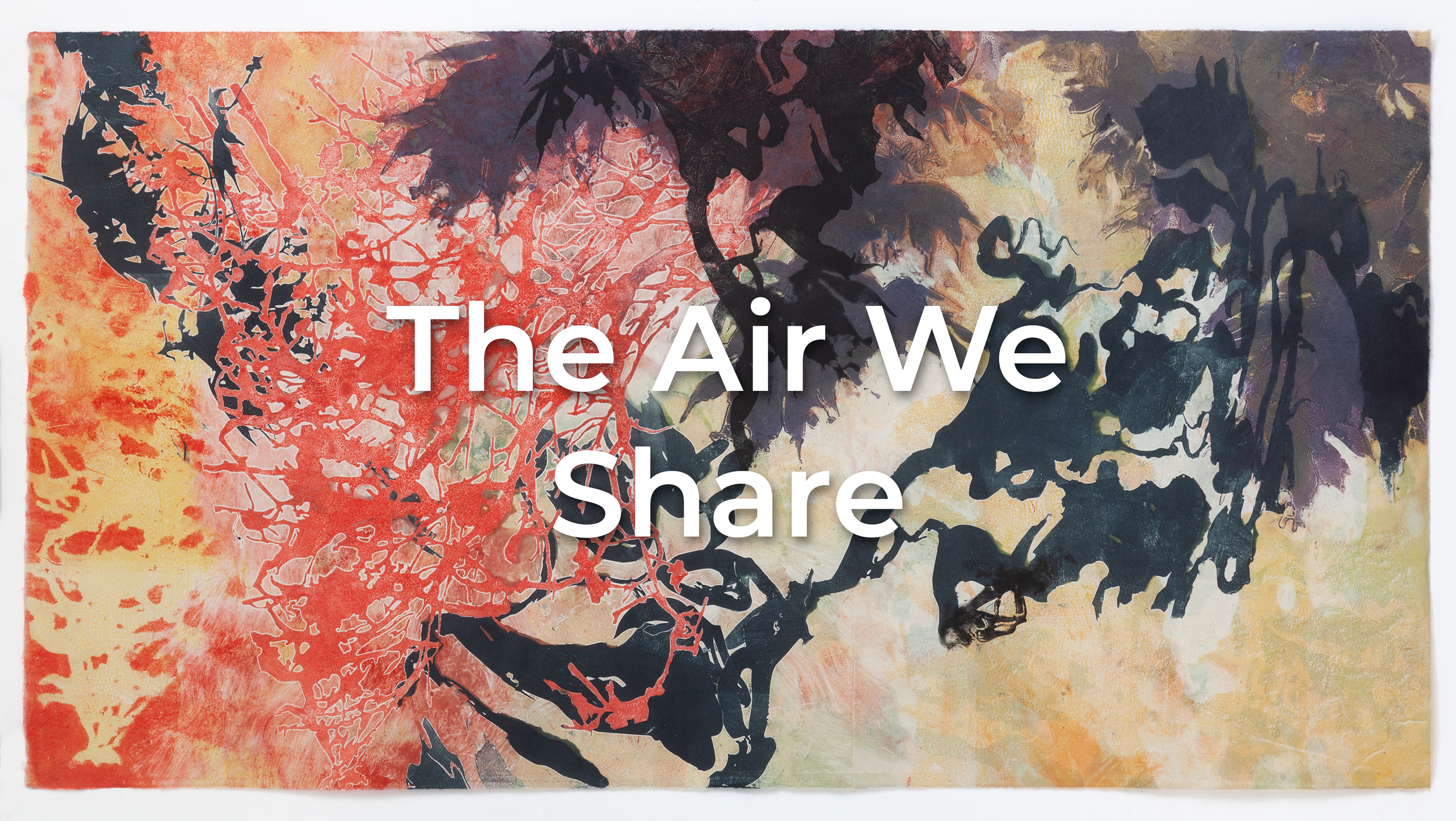 The Air We Share Banner.png