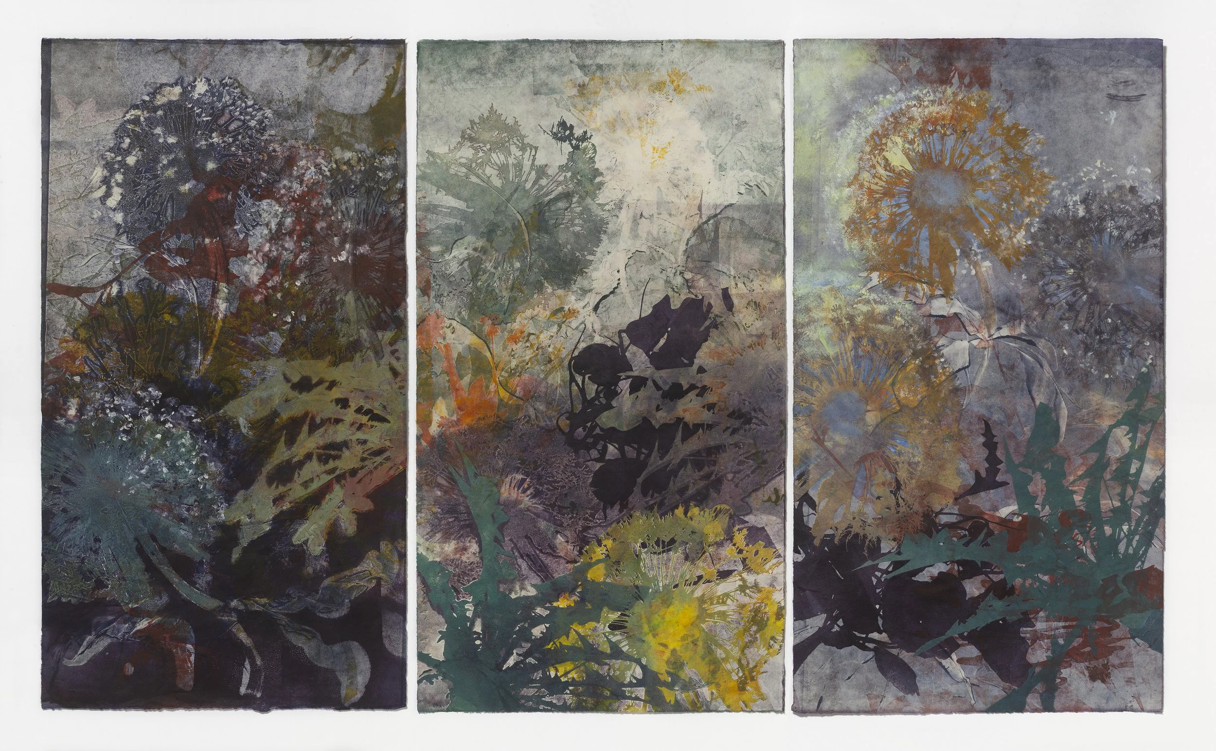 Dandelion After Hours.jpg