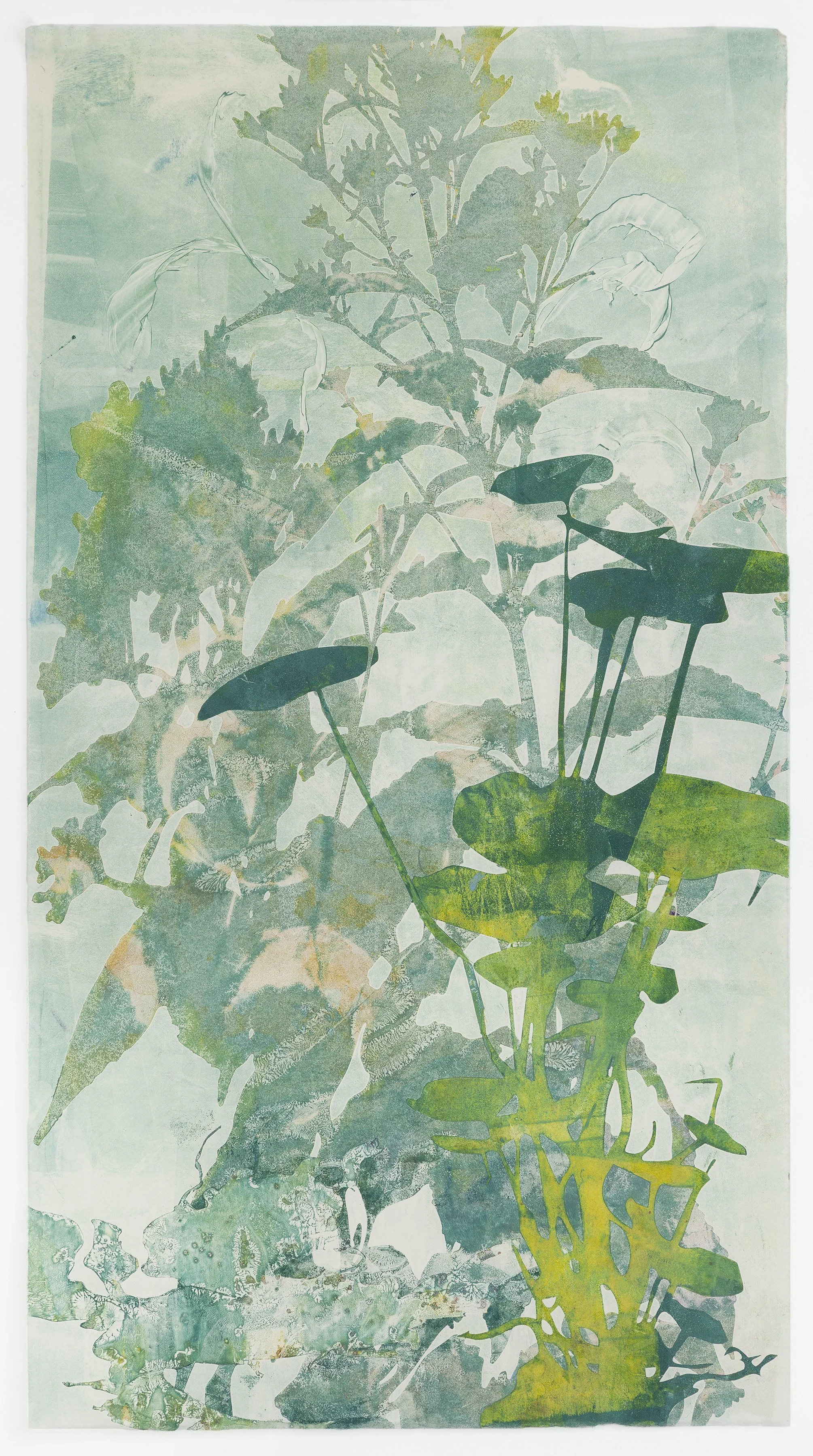 Chlorophyll Conference 38.5%22x21%22 print on mullberry 2025 copy.jpg