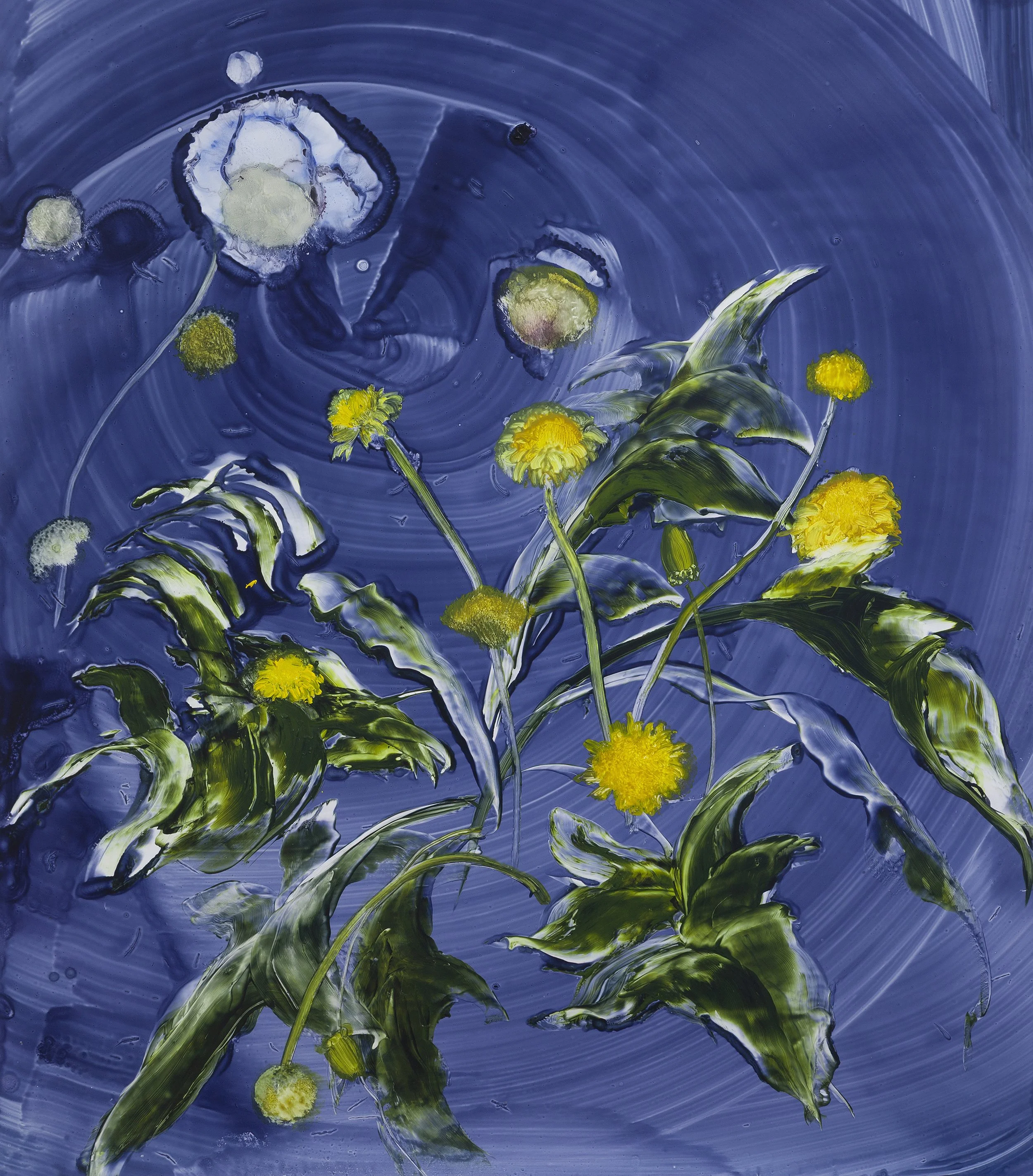 Dandelion Two-Step 35.25%22x30%22.jpg