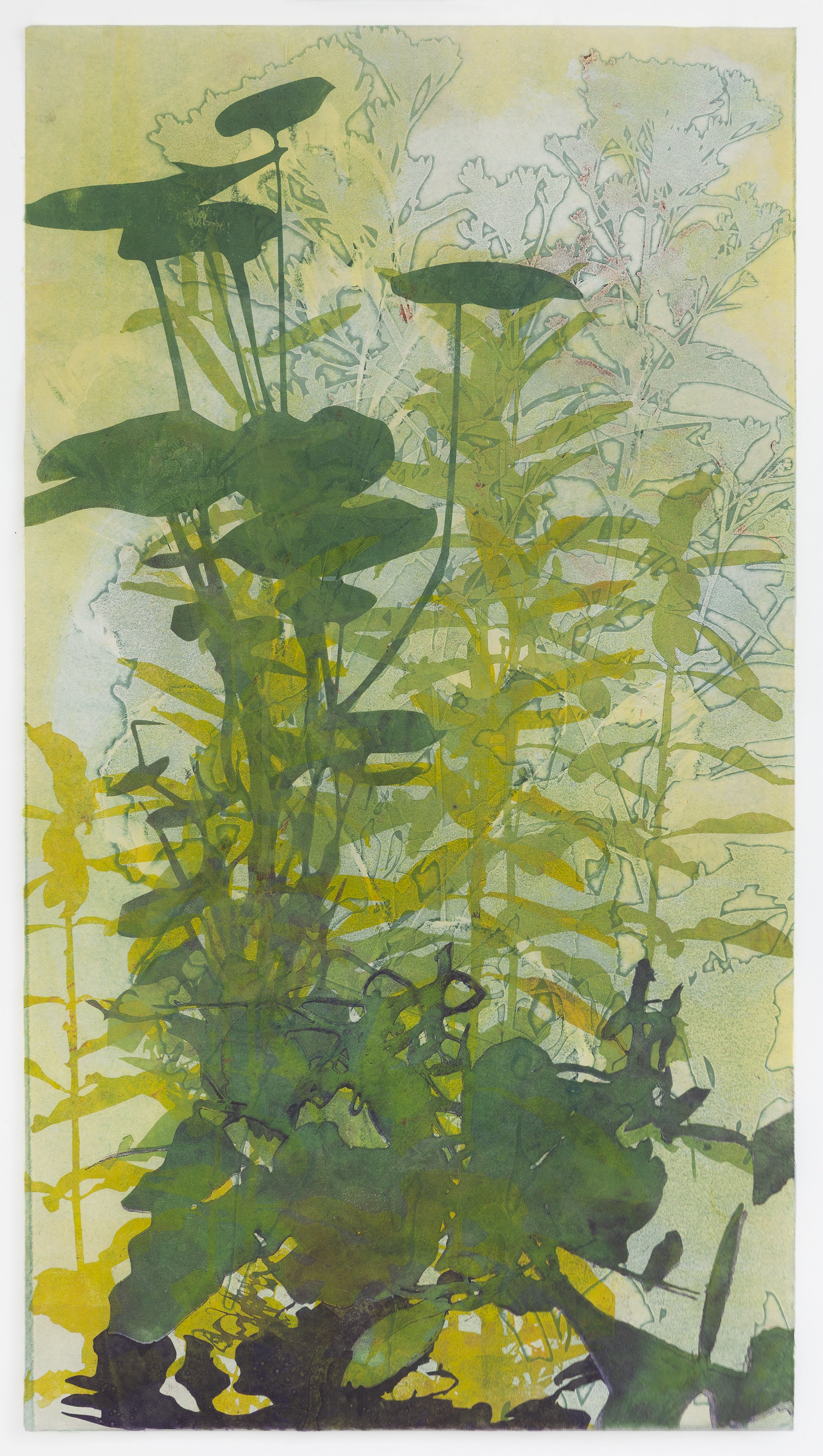 Green Immigrant 38.5%22x21%22  copy.jpg