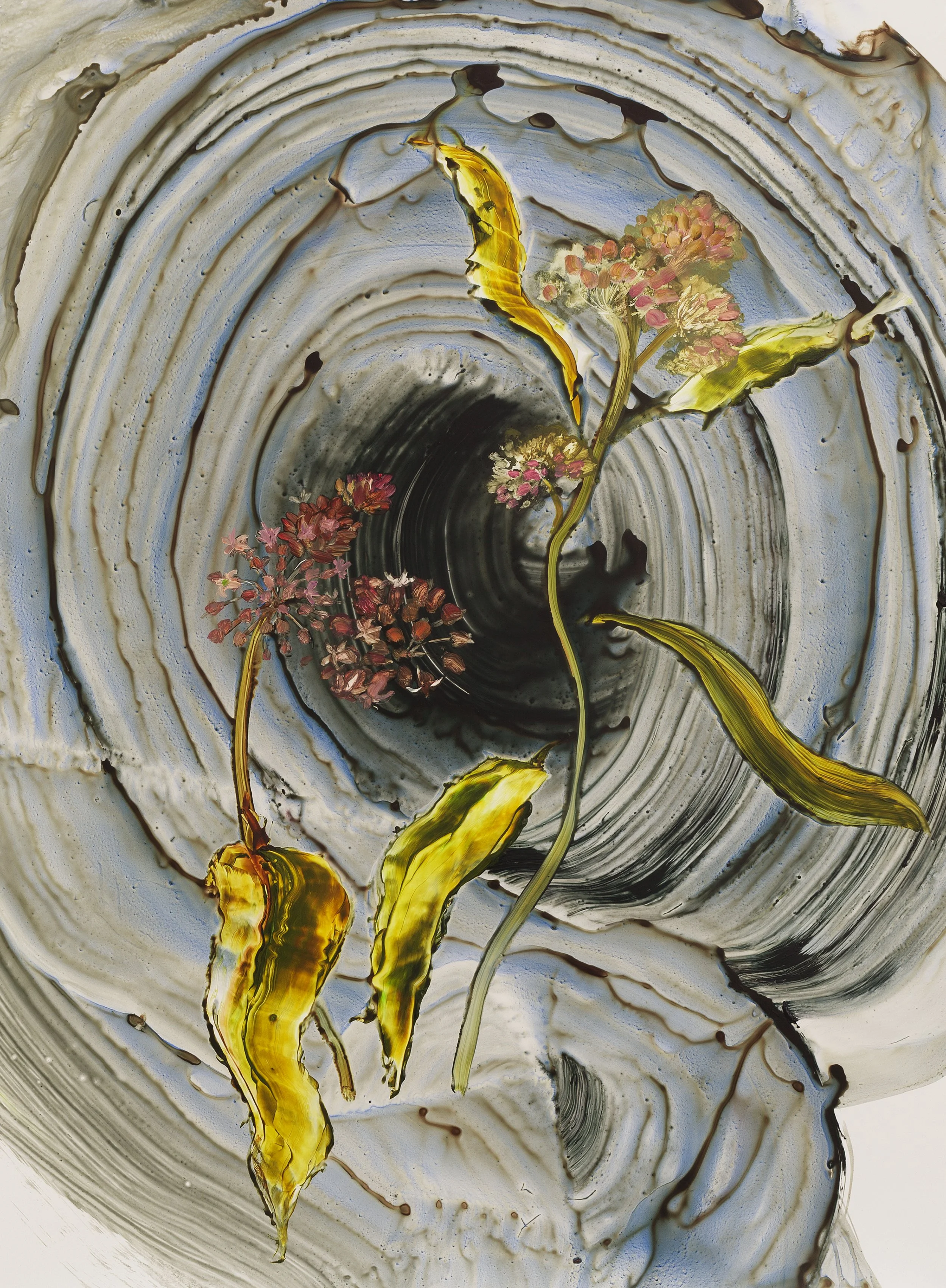 Milkweed Teenybopper 2024 Acrylic on yupo 30%22x38%22.jpg