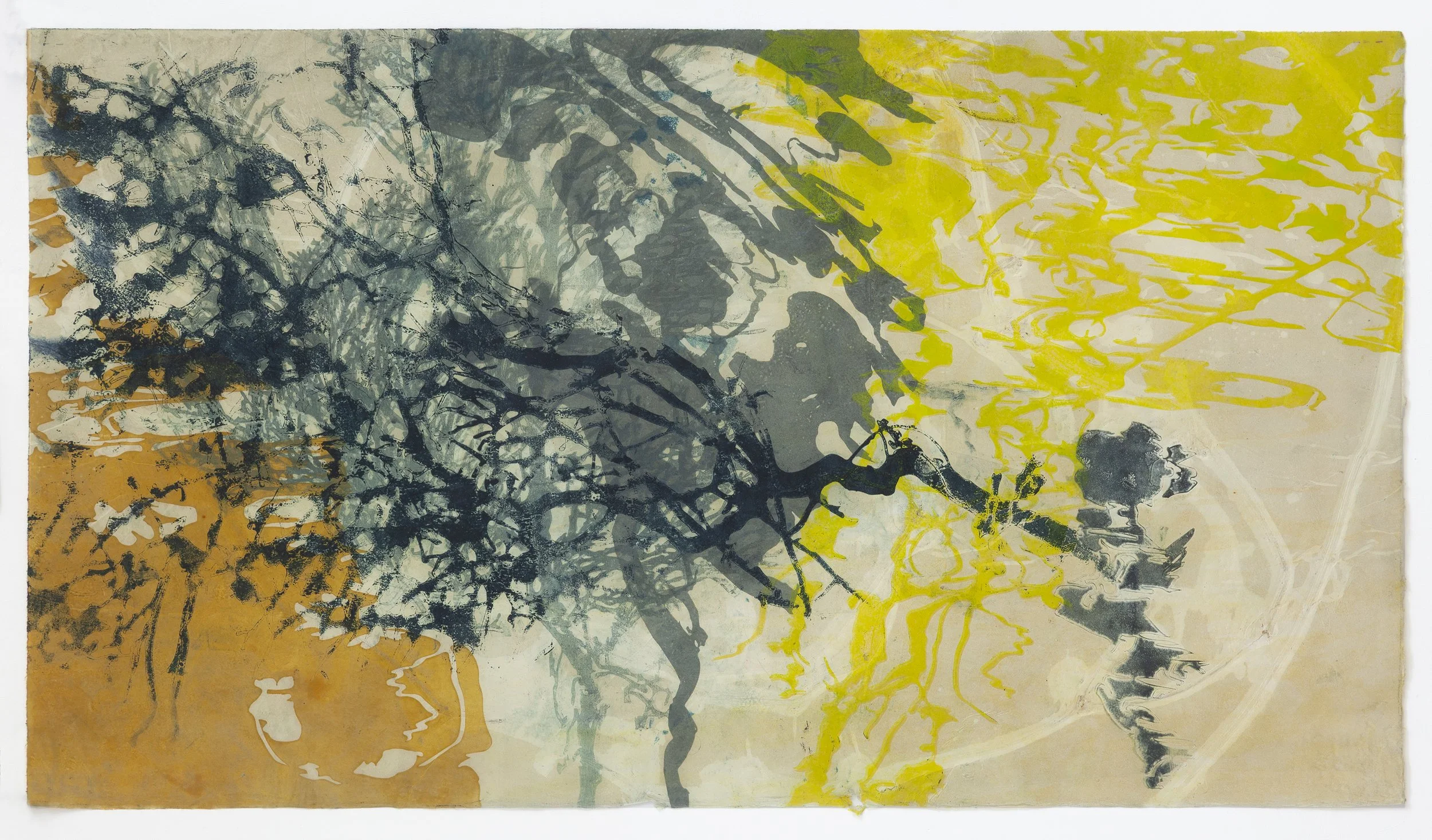 Ecosystem Procedural VI 20%22x34.5%22 print on mullberry copy.jpg