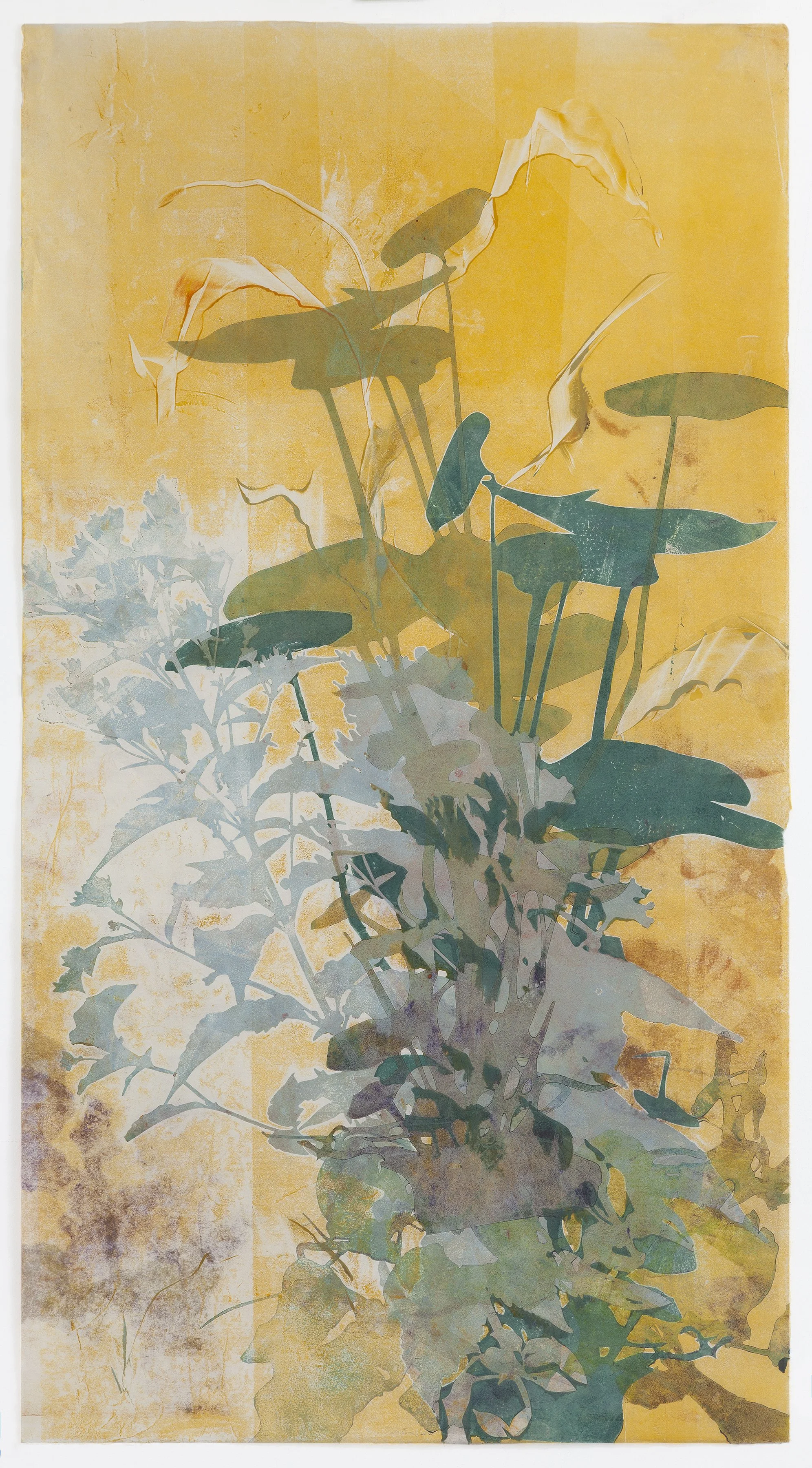 I'm trying to tell you 38.5%22x21%22 2025.jpg