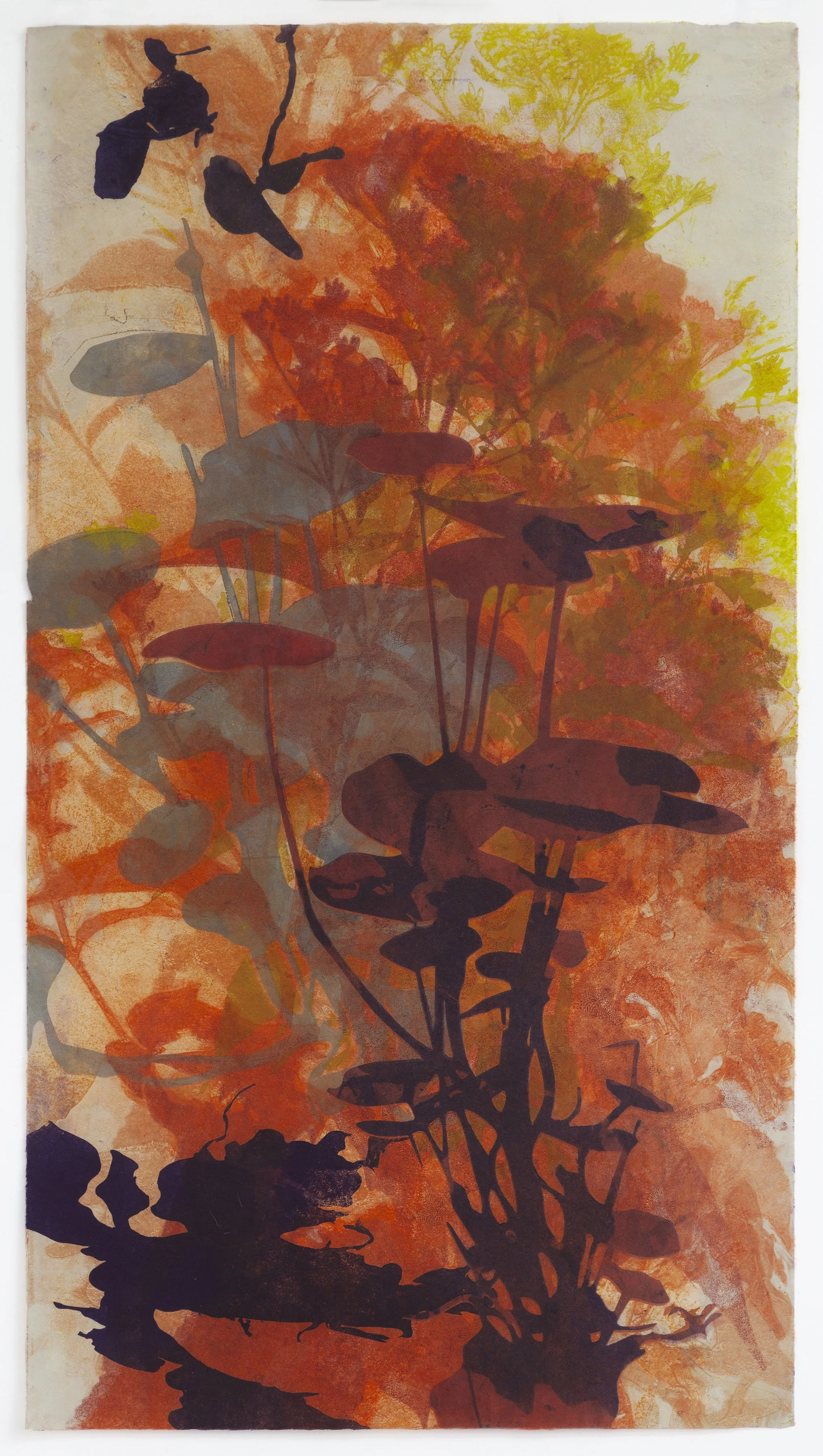 Wild Ginger Blaze 38.5%22x21%22.jpg