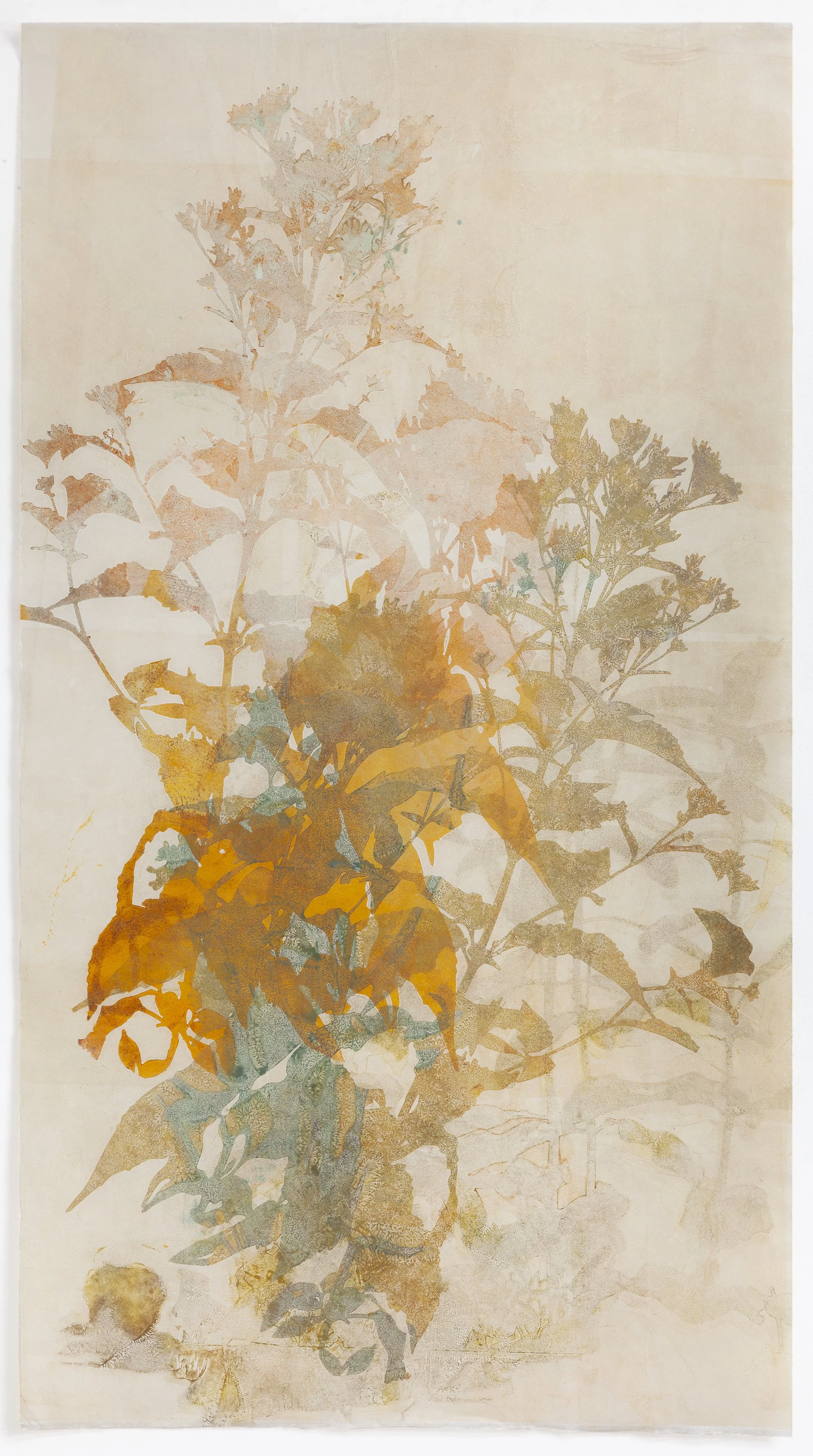 Joe-Pye Weed 38.5%2221%22 2025.jpg