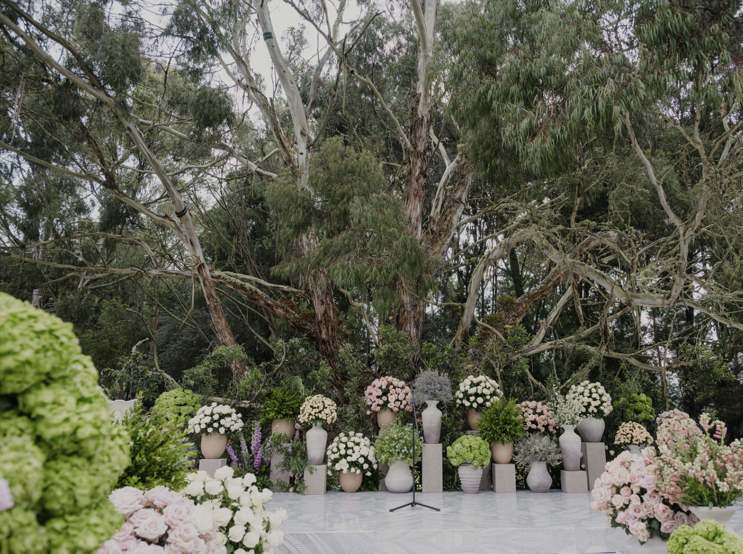 Florals 7.png